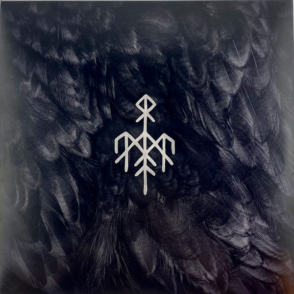 Kvitravn