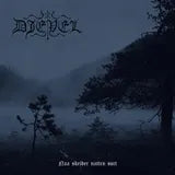 Naa Skrider Natten Sort - vinyl