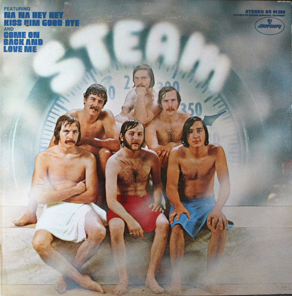 Steam - Vinyl