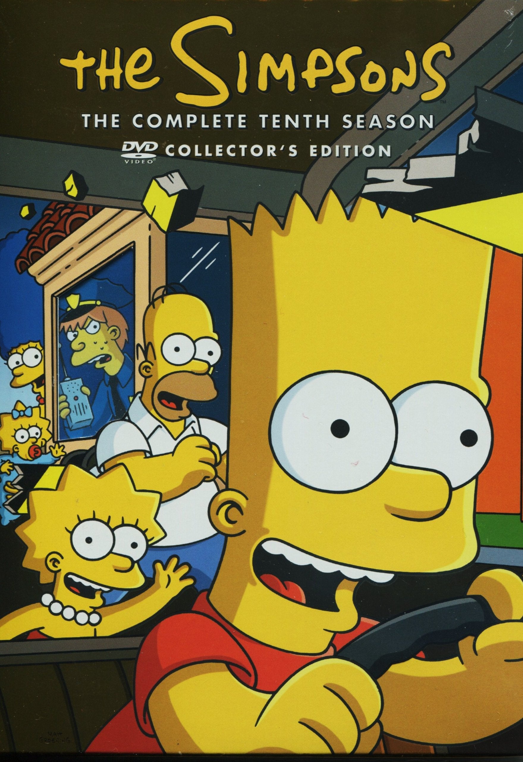 The Simpsons: The Complete Tenth Season - DVD