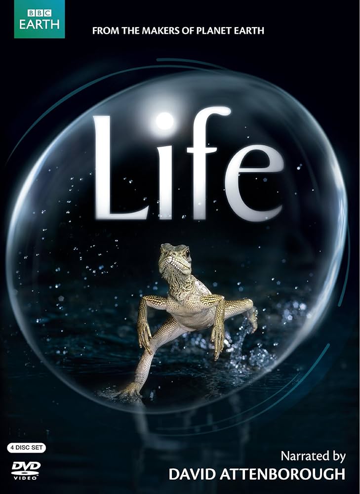 Life - DVD