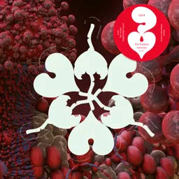 Björk - Ovule (Sega Bodega Remix) / Atopos Sideproject Remix EP - RSD (VINYL)
