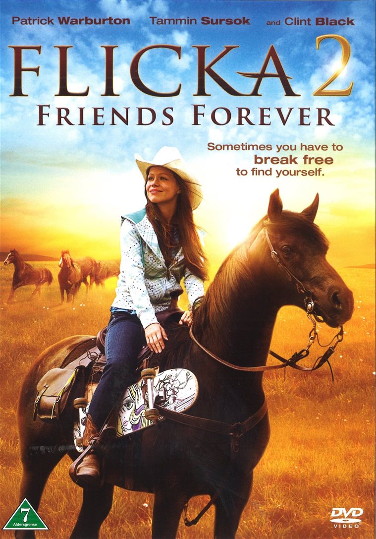Flicka 2 - DVD