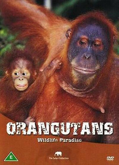 Orangutans - DVD