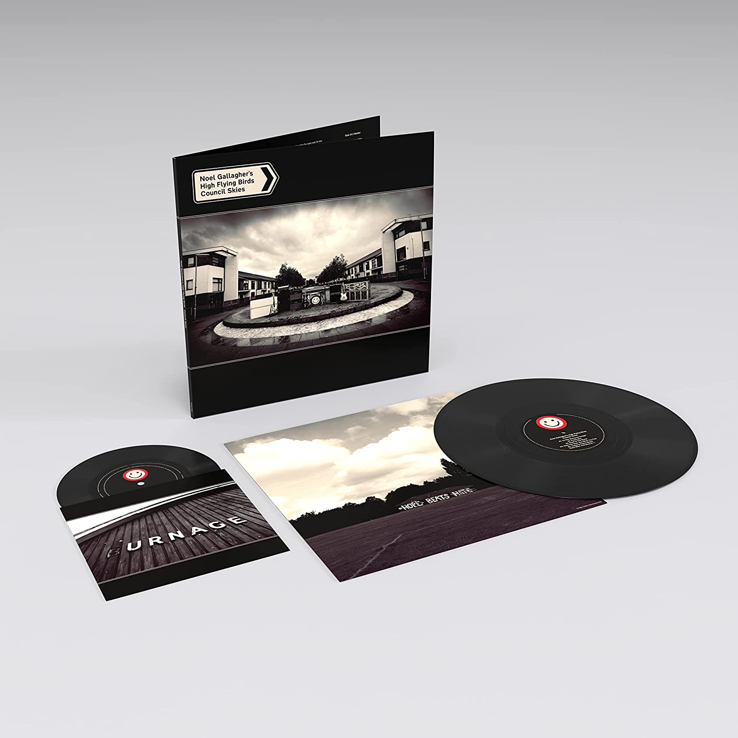 Noel Gallagher's High Flying Birds - Council Skies (VINYL + 7")