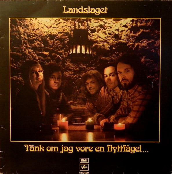 Tänk Om Jag Vore En Flyttfågel... - Vinyl