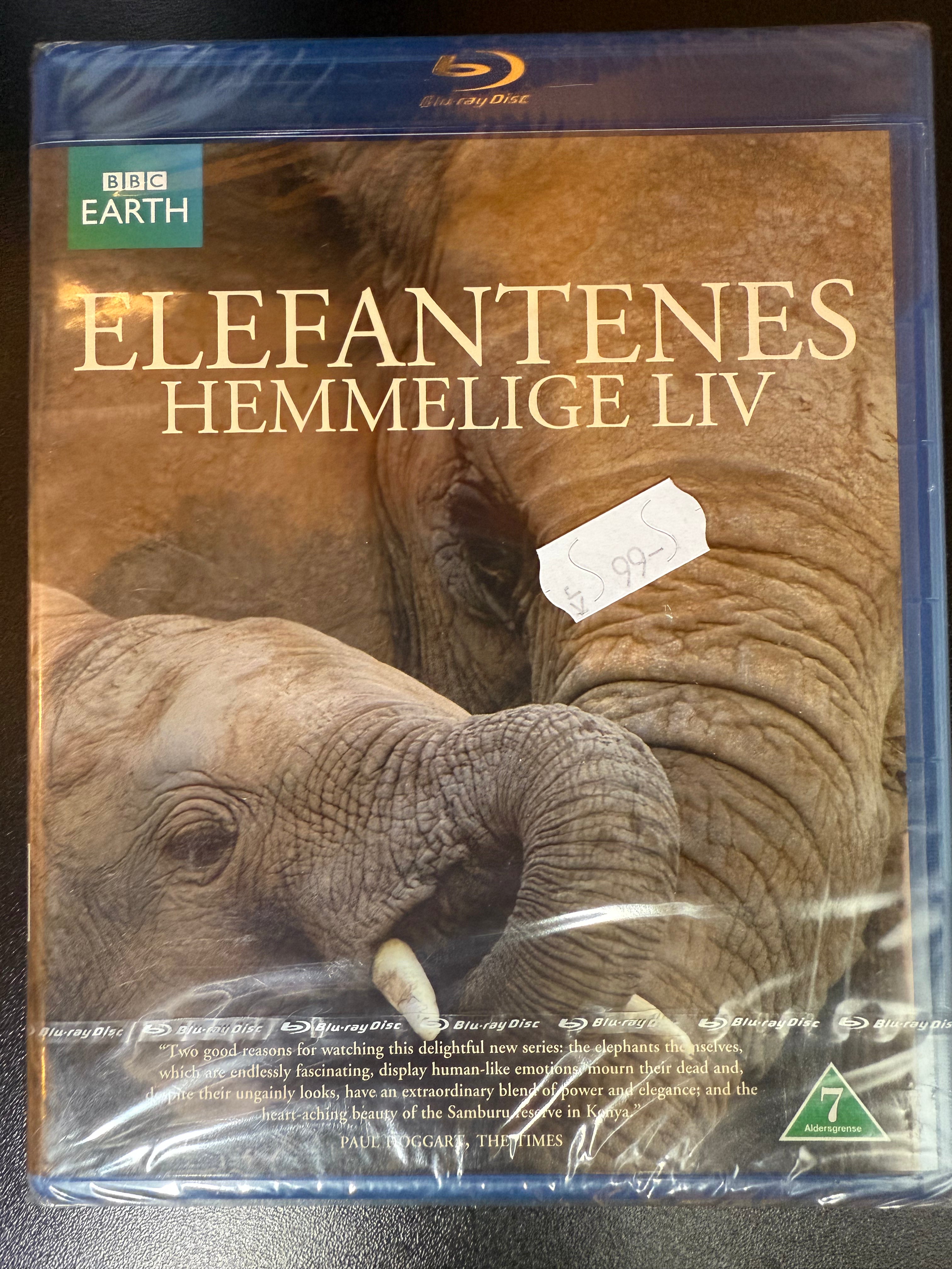 Elefantenes Hemmelige Liv - Blu-ray