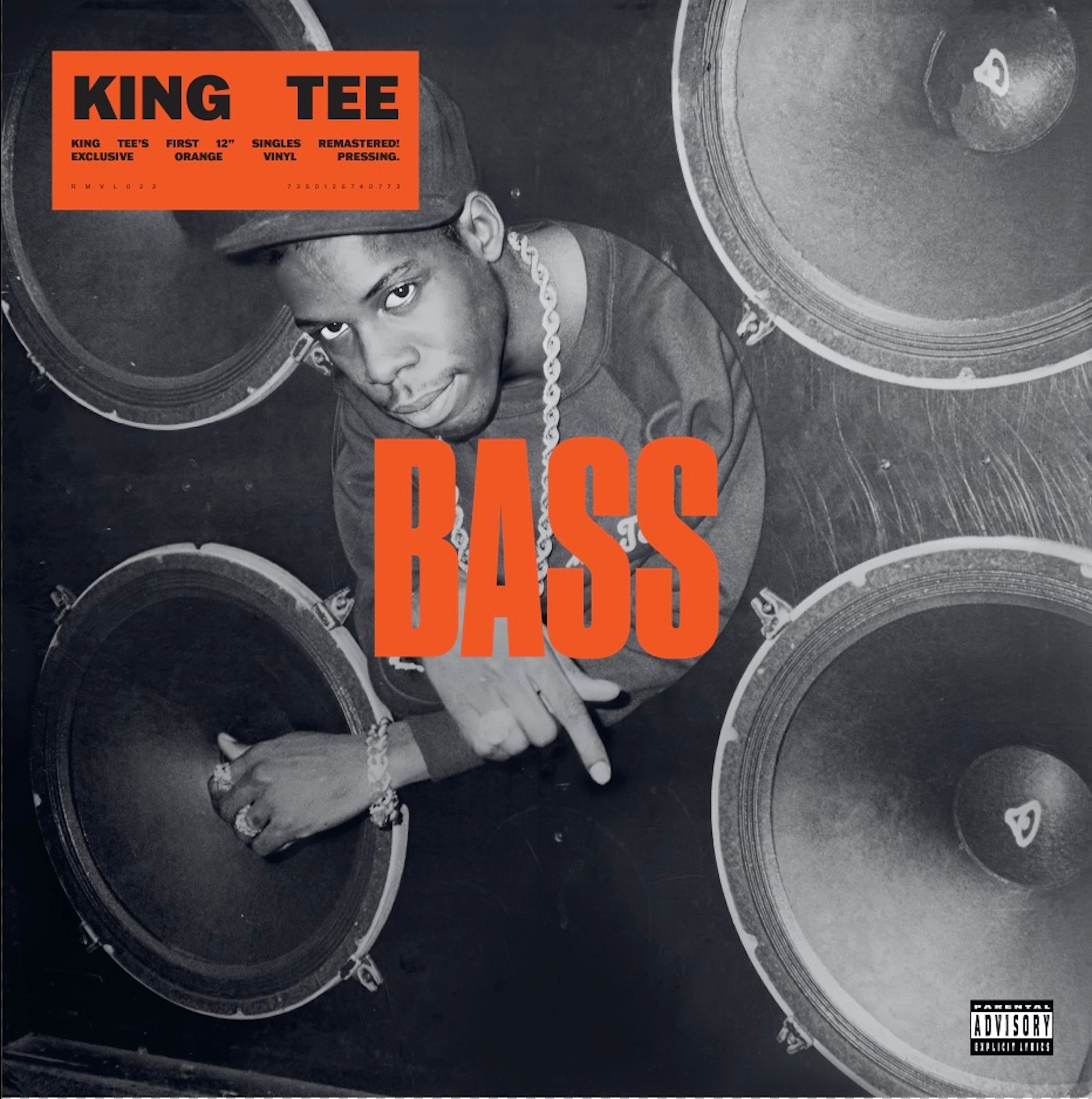 Bass - 12