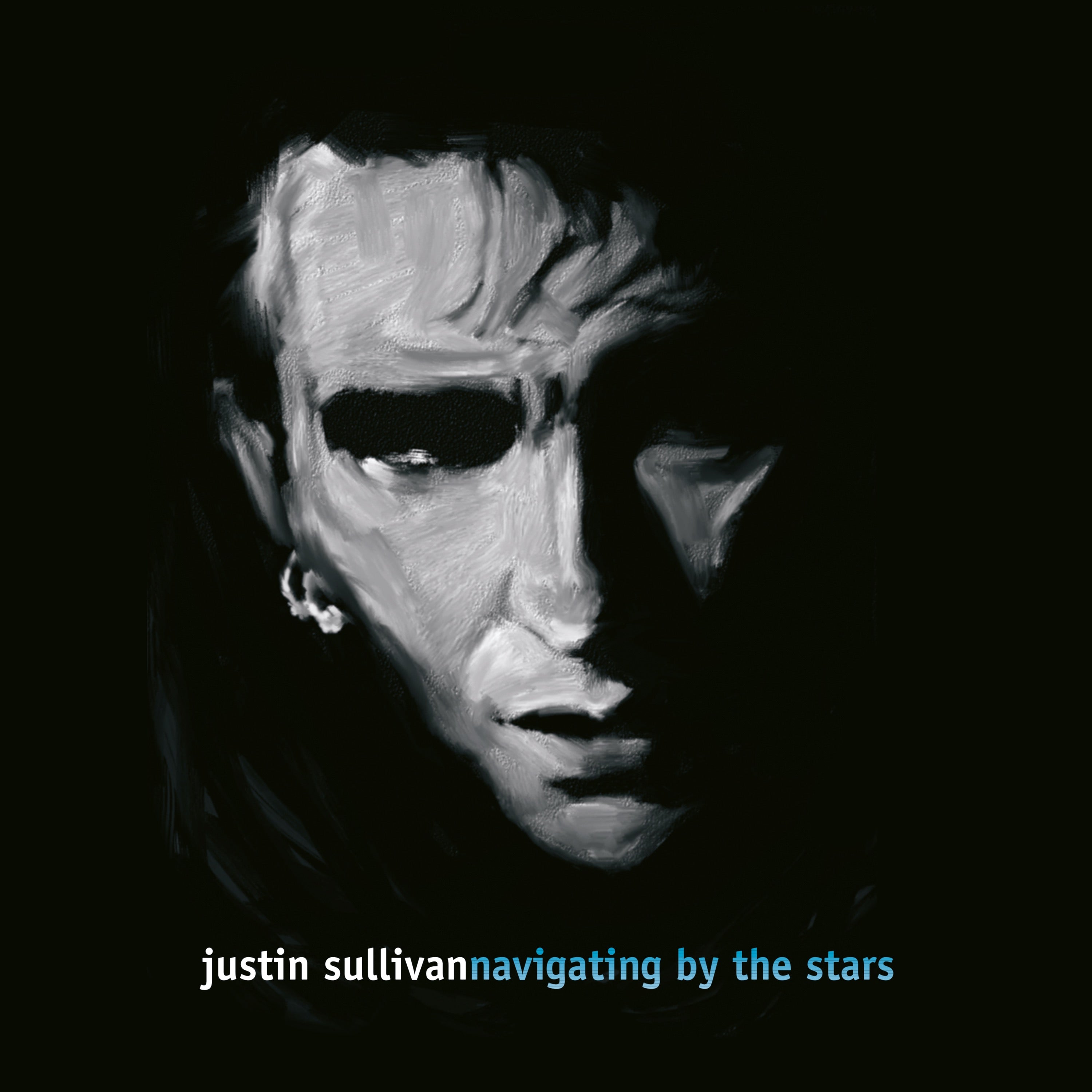 Navigating By The Stars - 2xLP