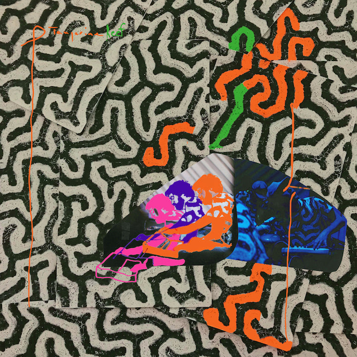 Tangerine Reef - 2xLP