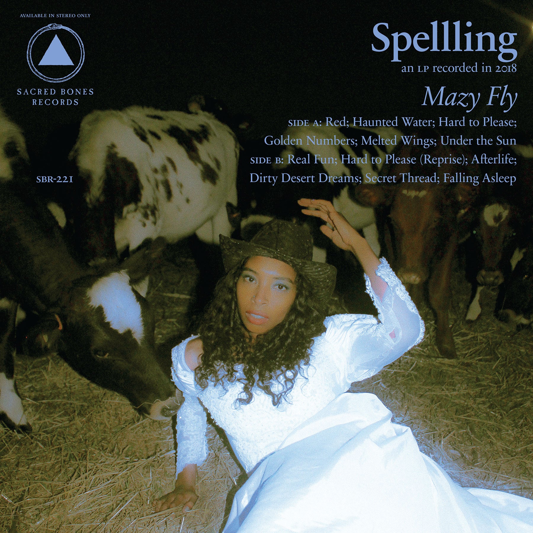 Mazy Fly - CD