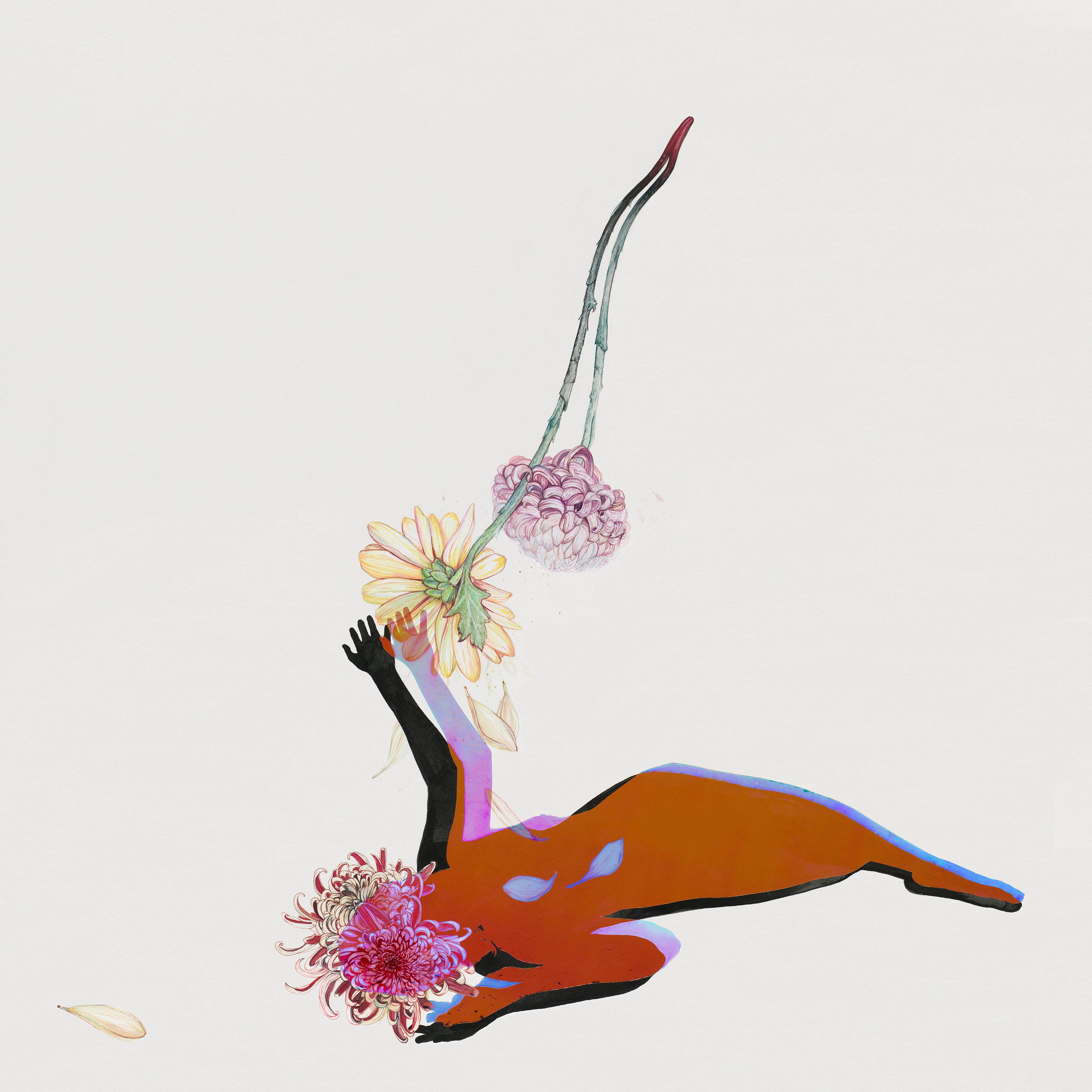 The Far Field - CD