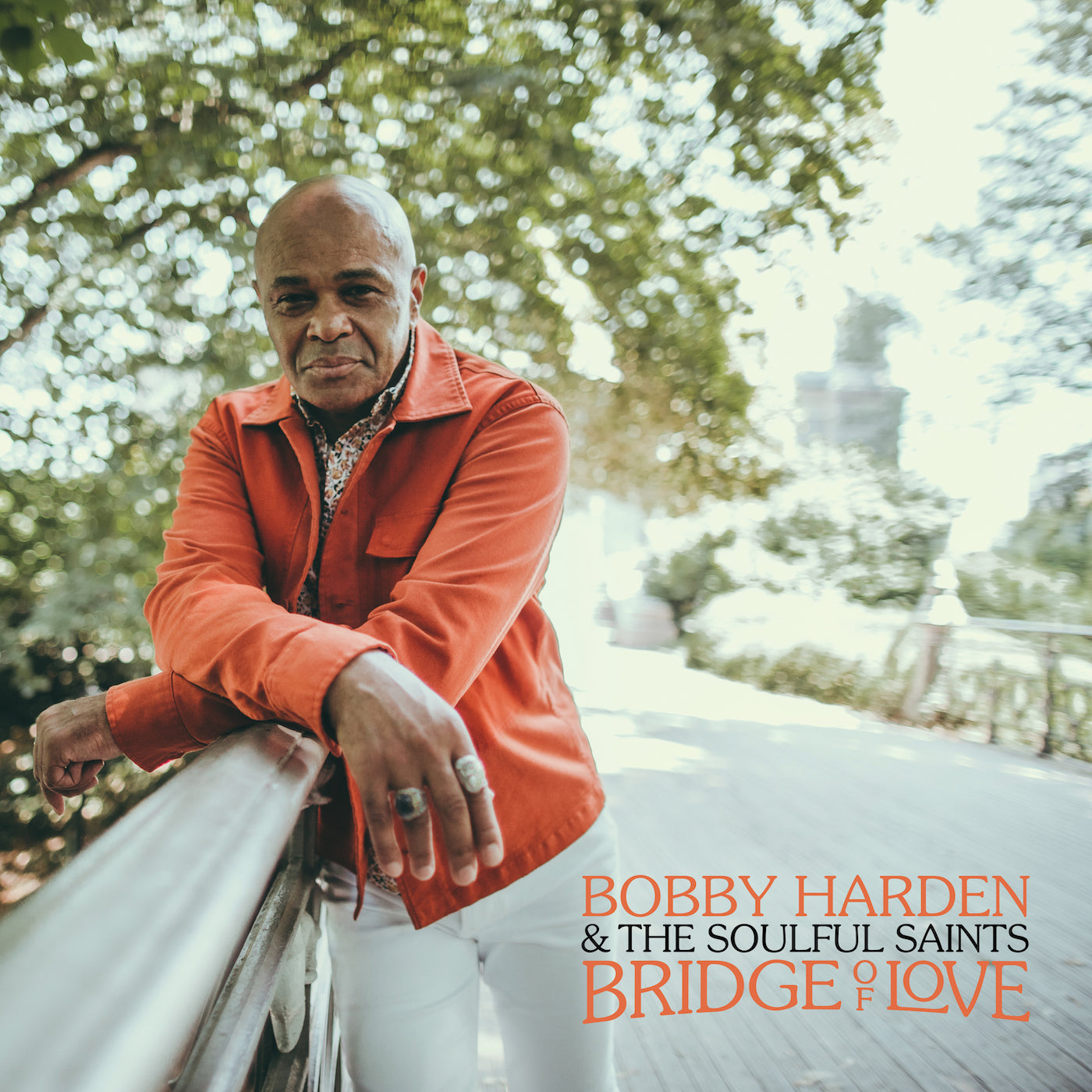 Bridge of Love - LP