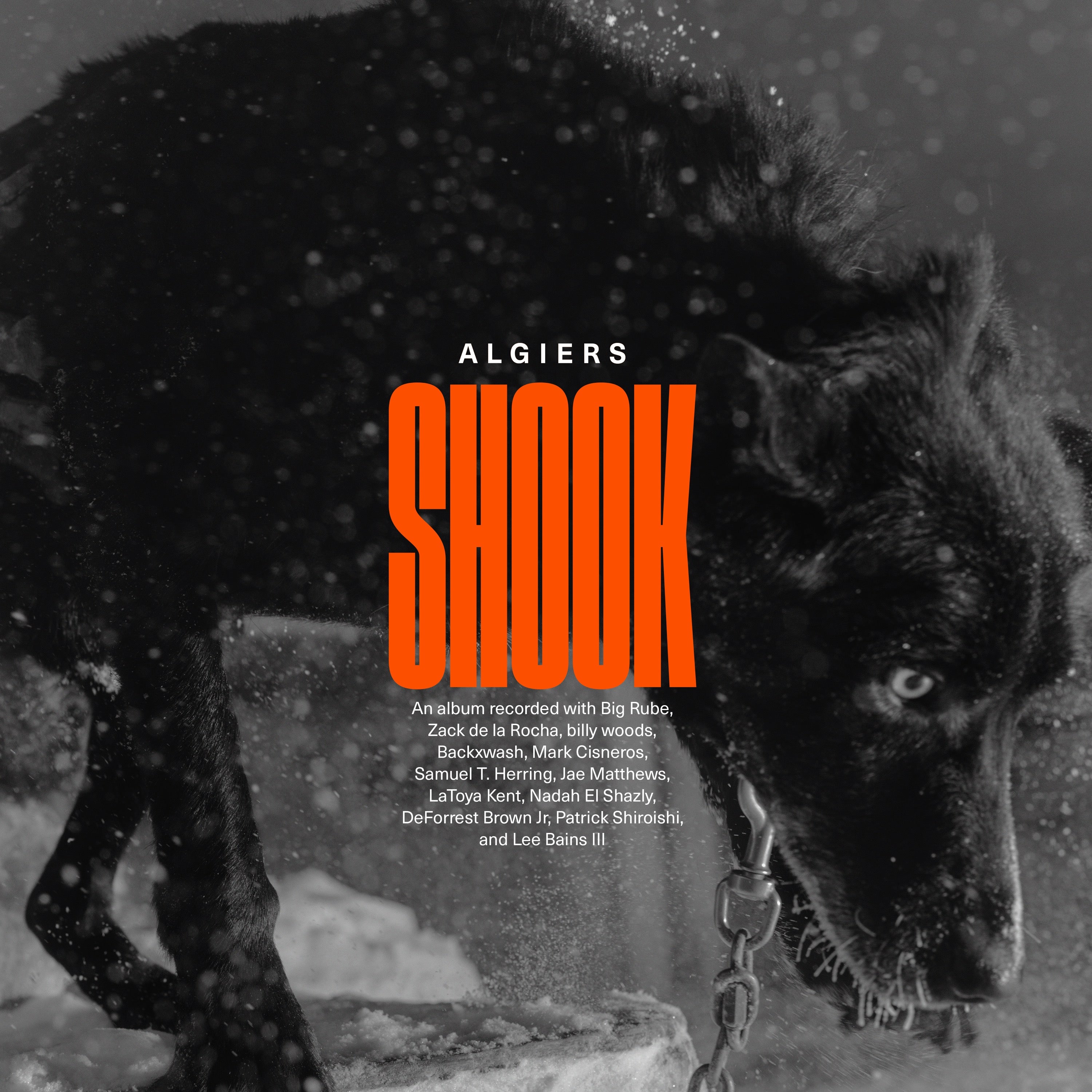 Shook - 2xLP