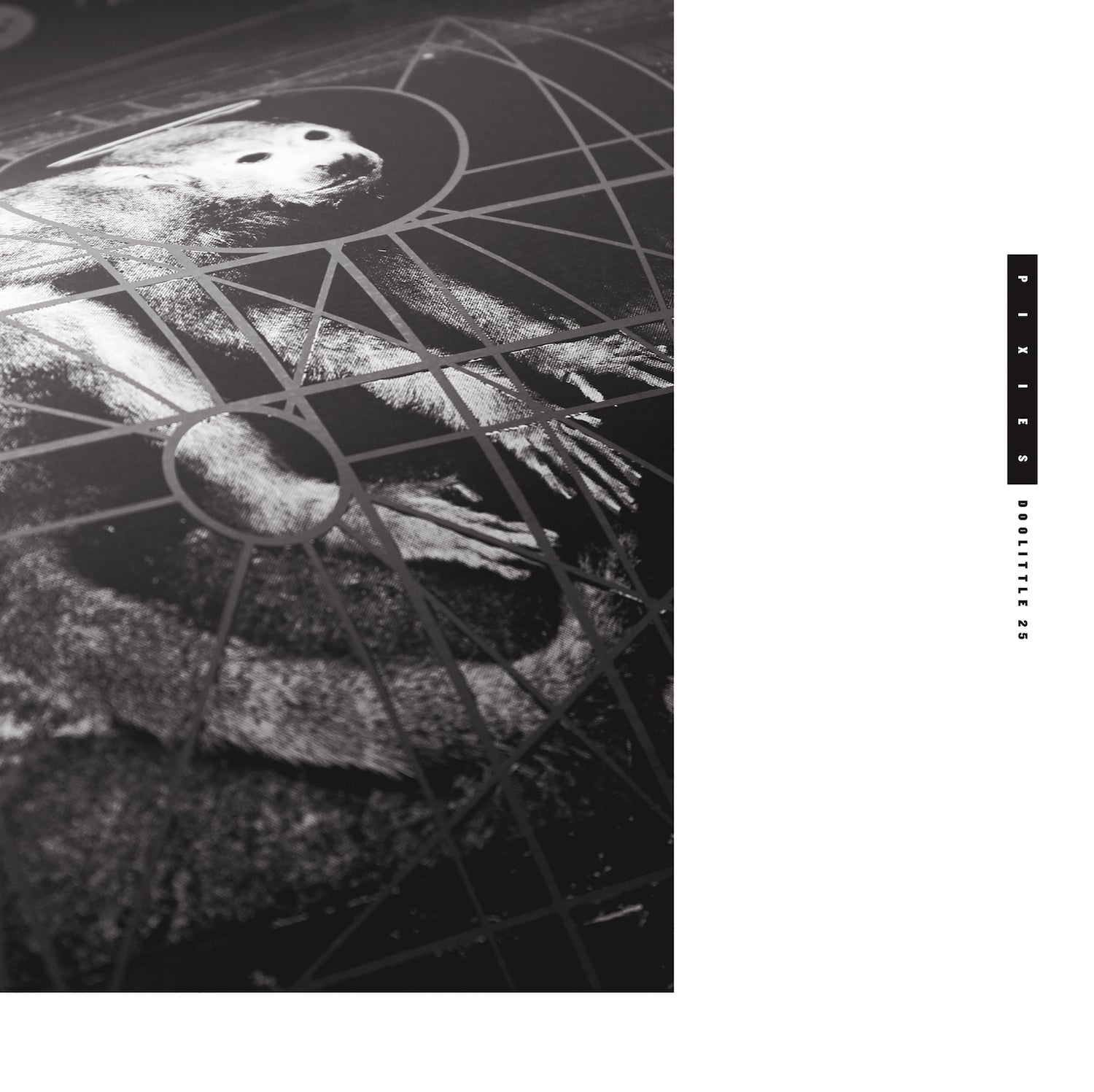 Doolittle 25 - 3xCD