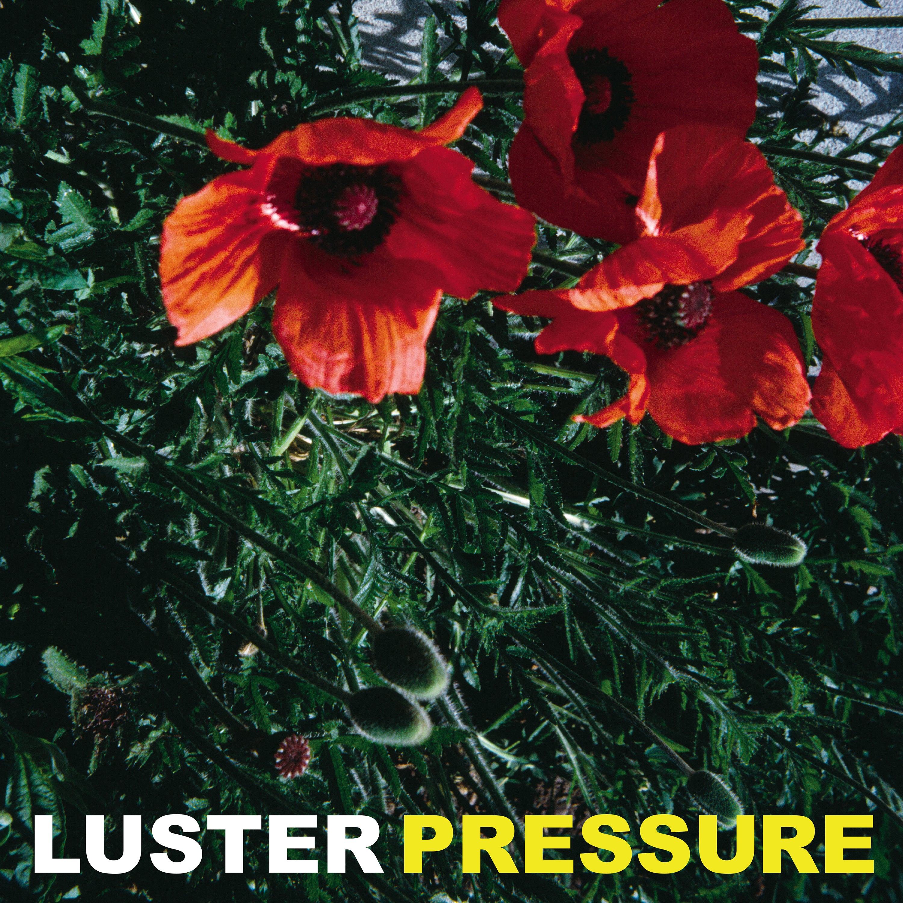 Pressure - LP