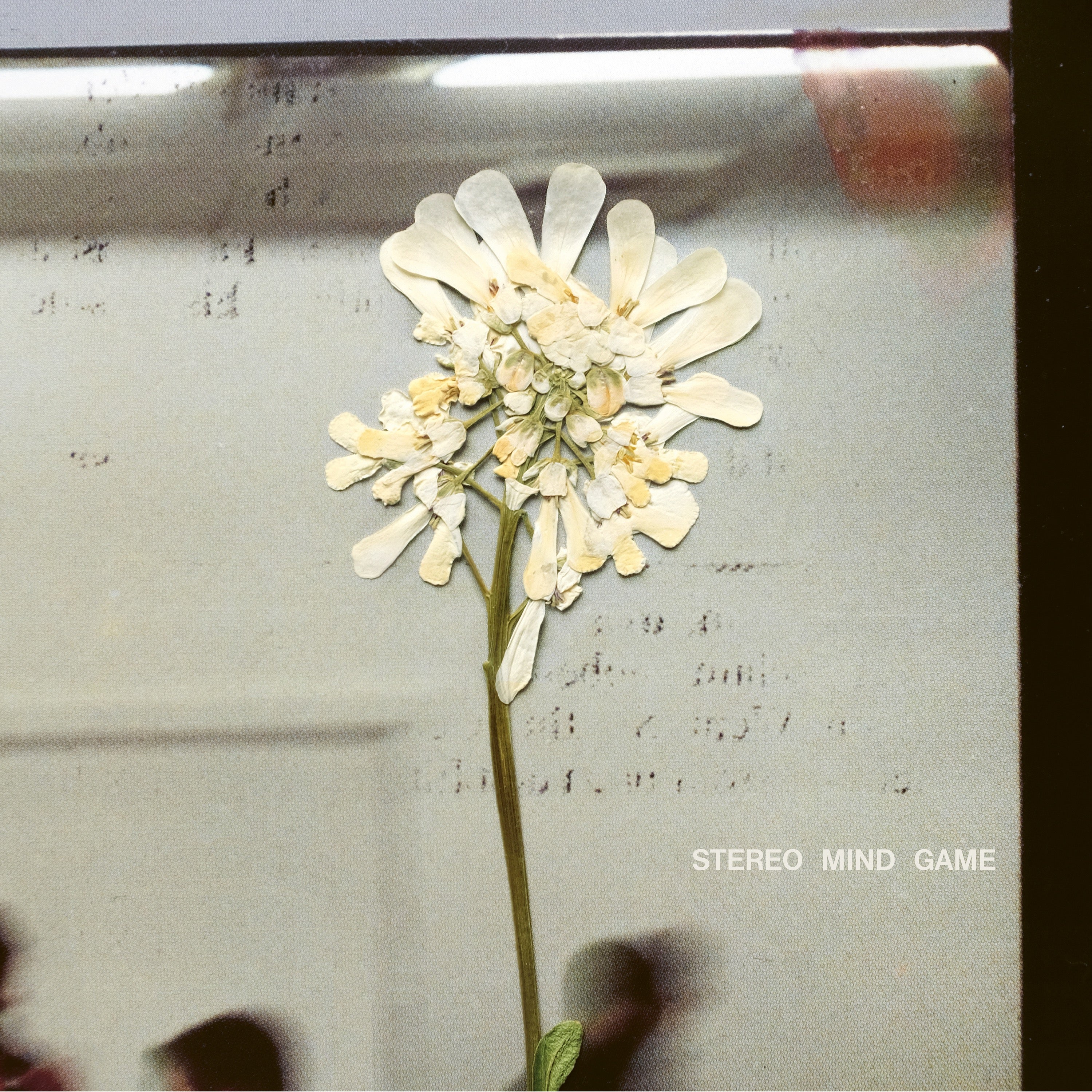 Stereo Mind Game - CD