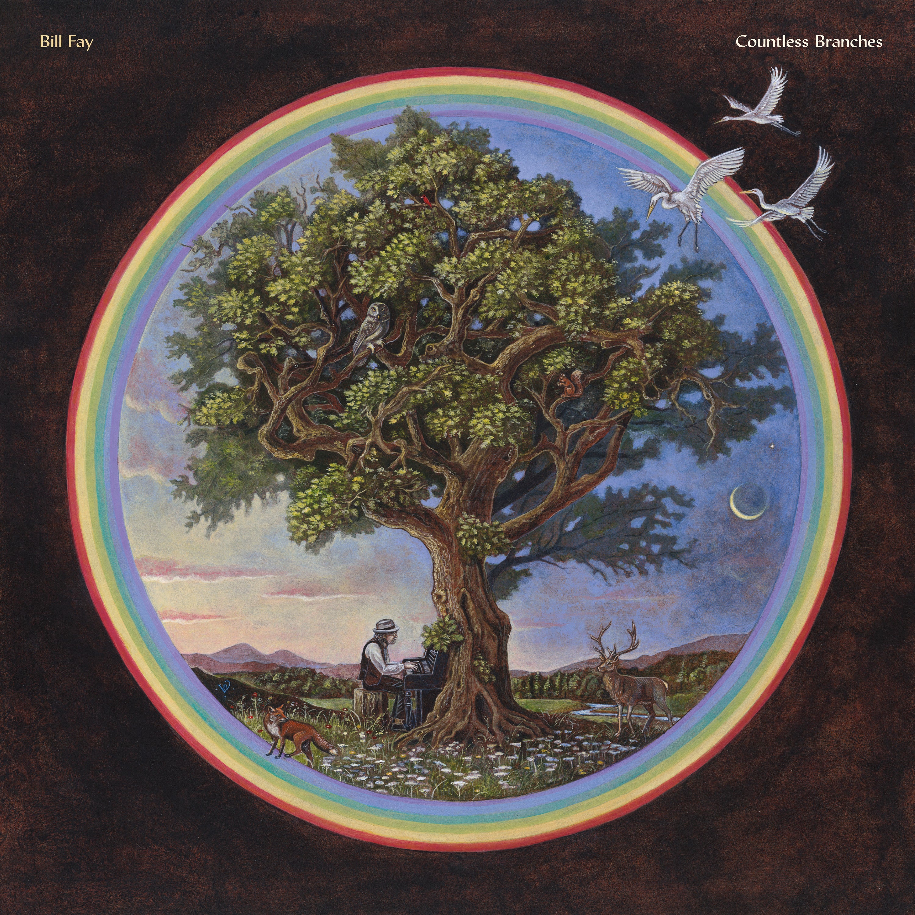 Countless Branches - LP