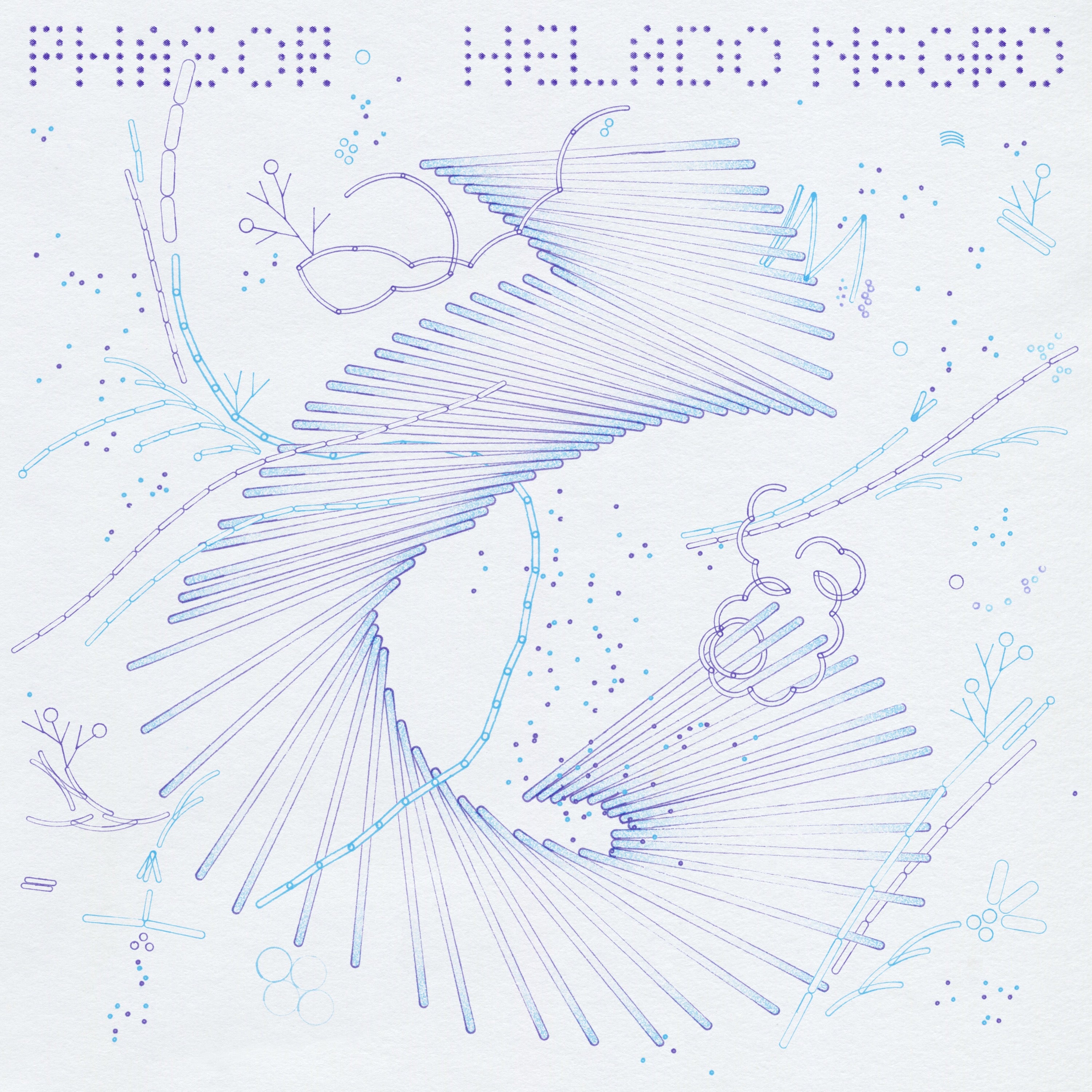 Phasor - LP