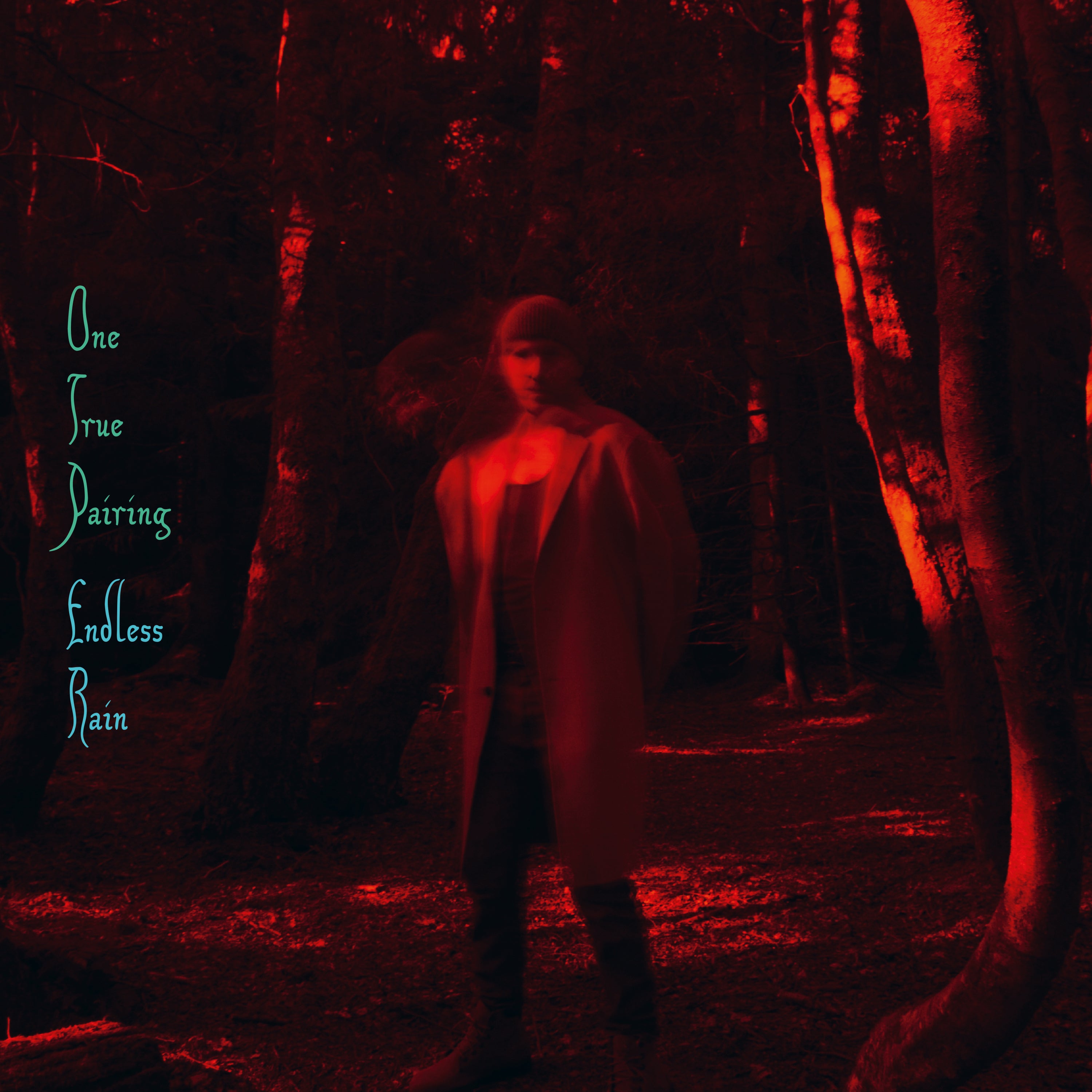 Endless Rain - 2xLP
