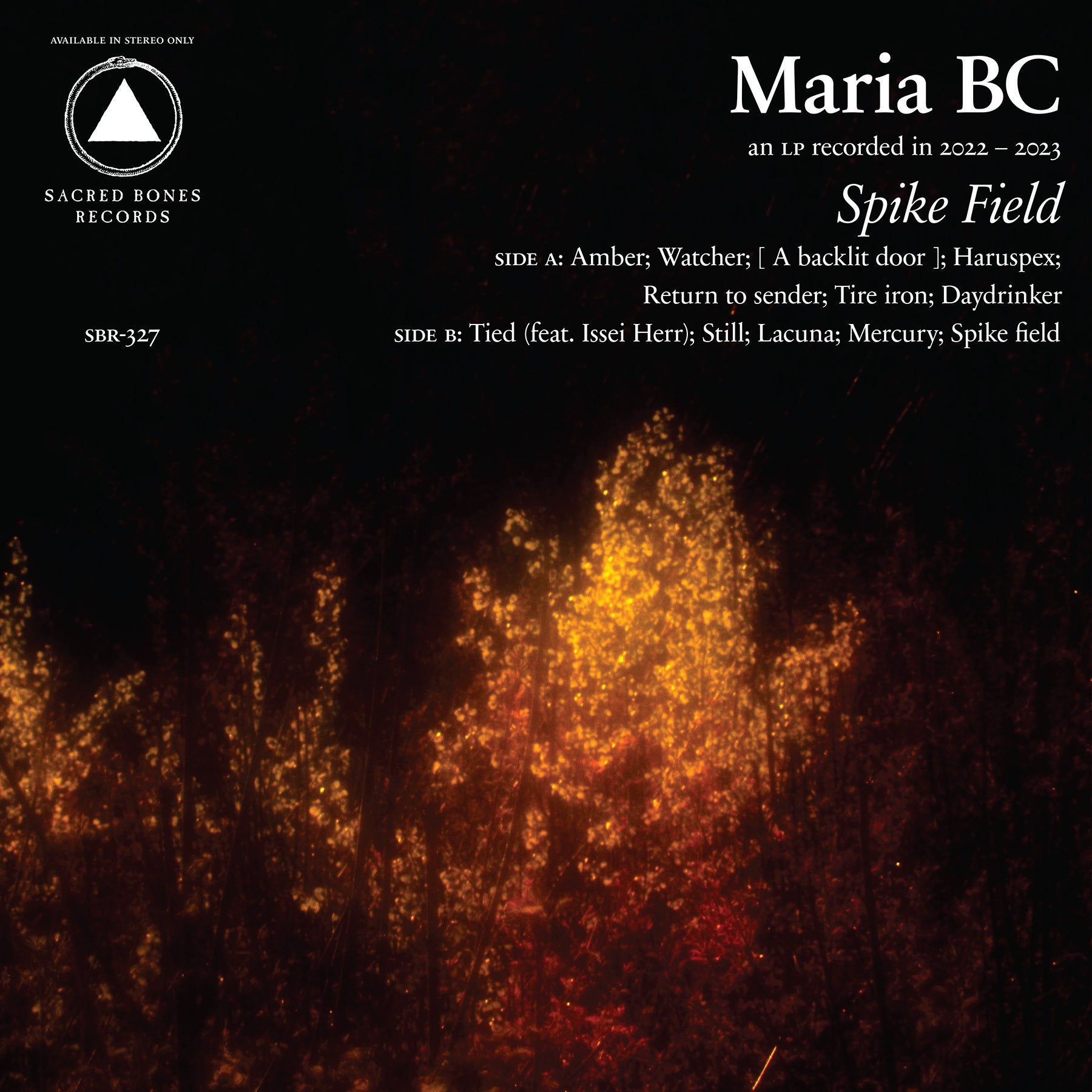 Spike Field - LP