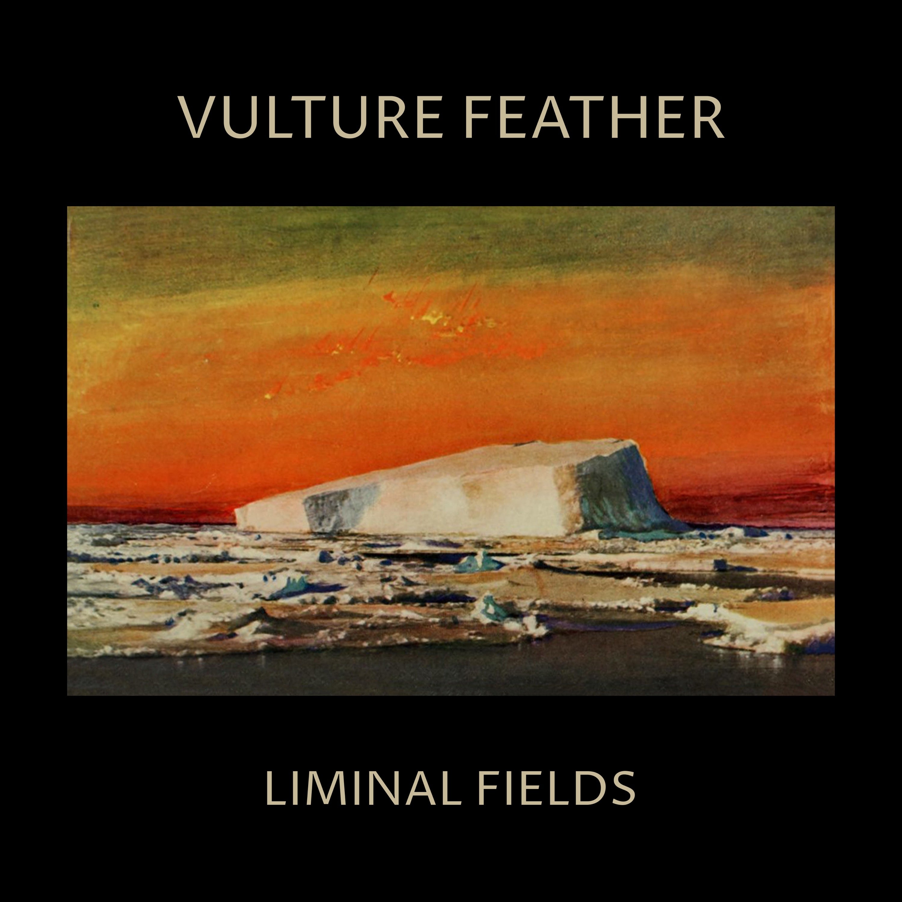 Liminal Fields - LP