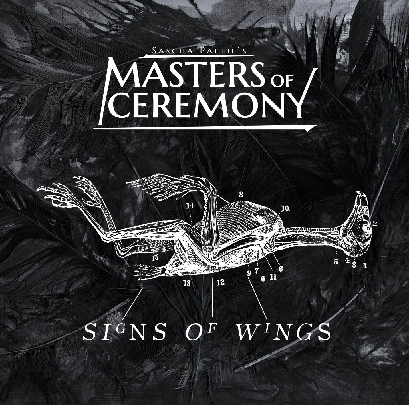 Signs Of Wings - LP
