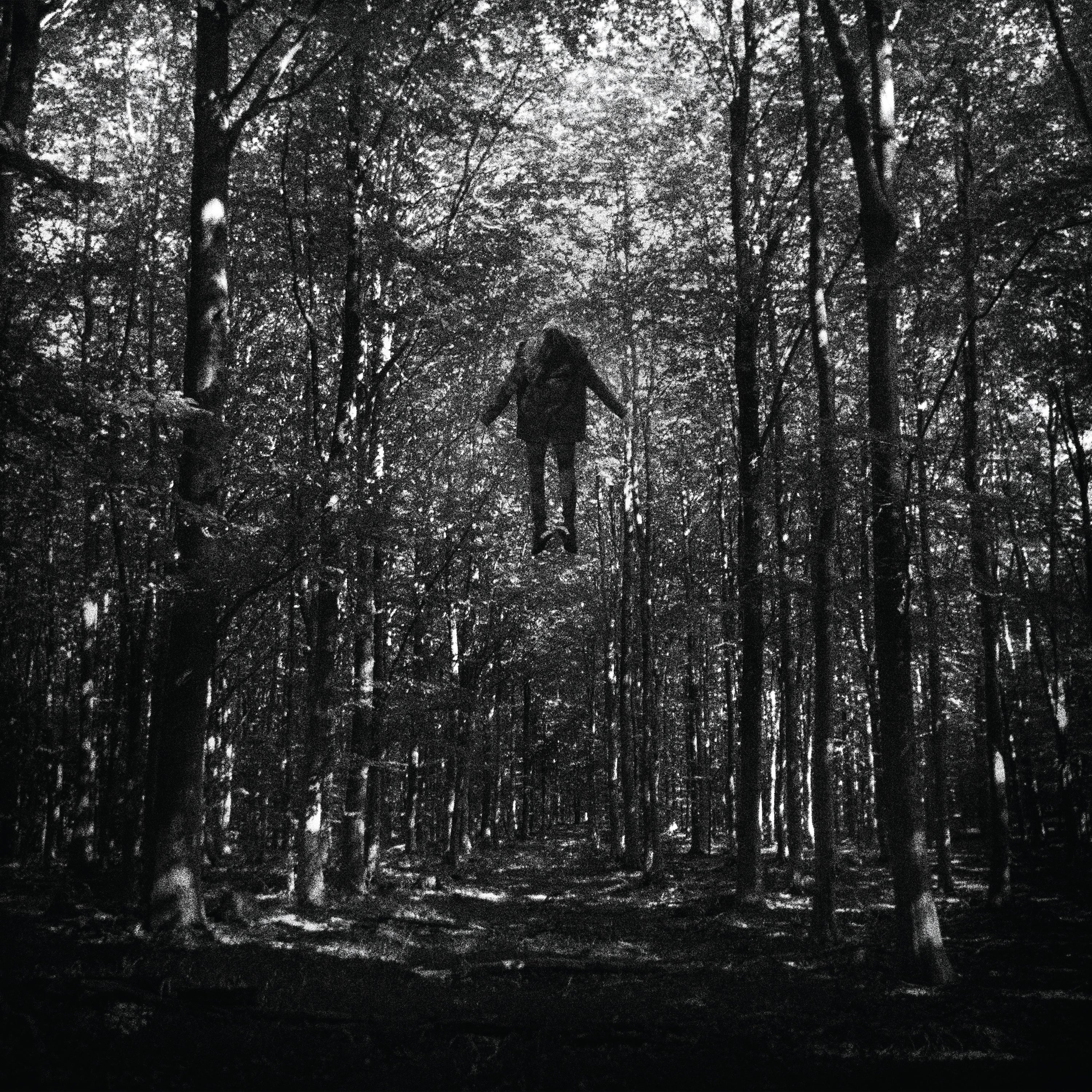 Grå - 2xLP