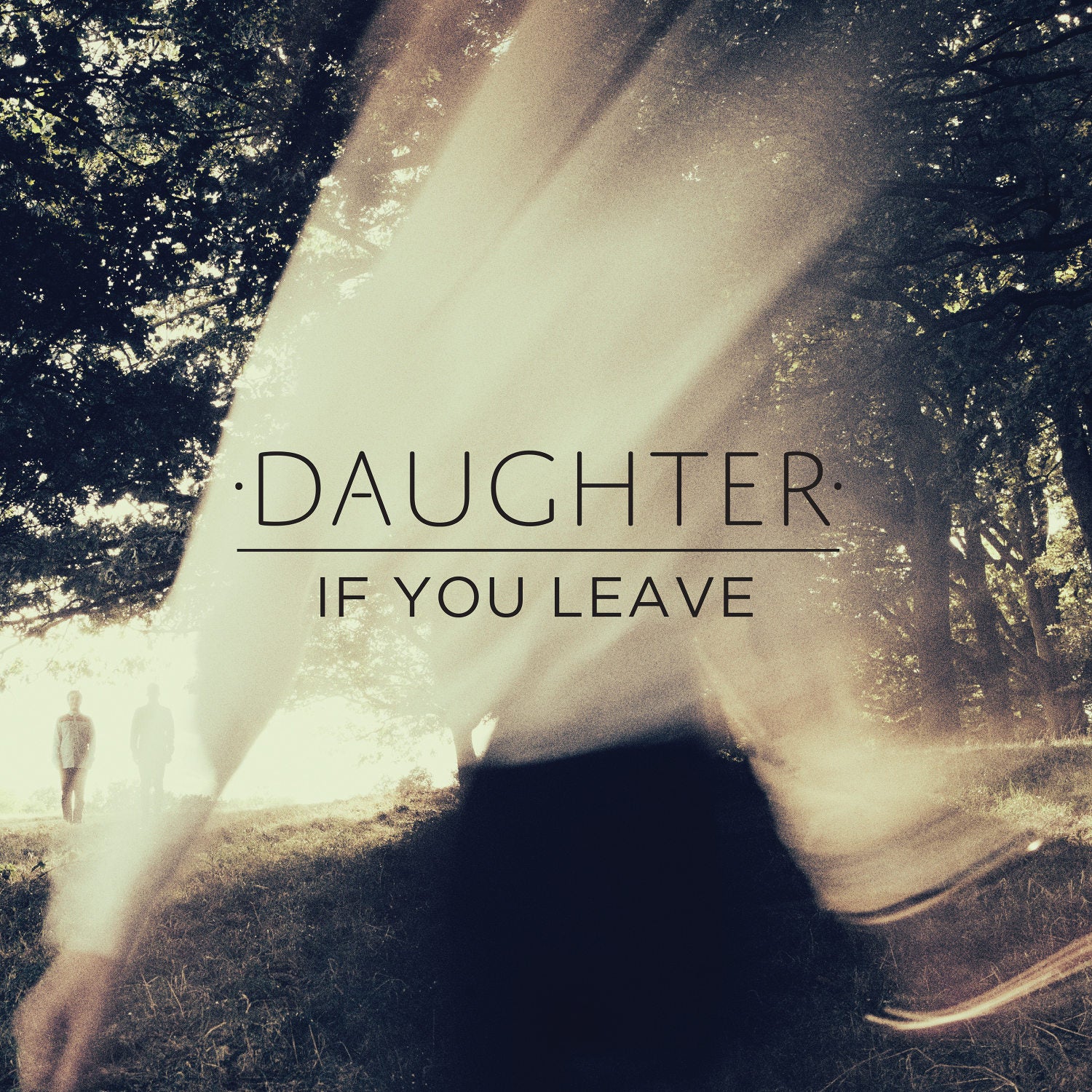 If You Leave - CD