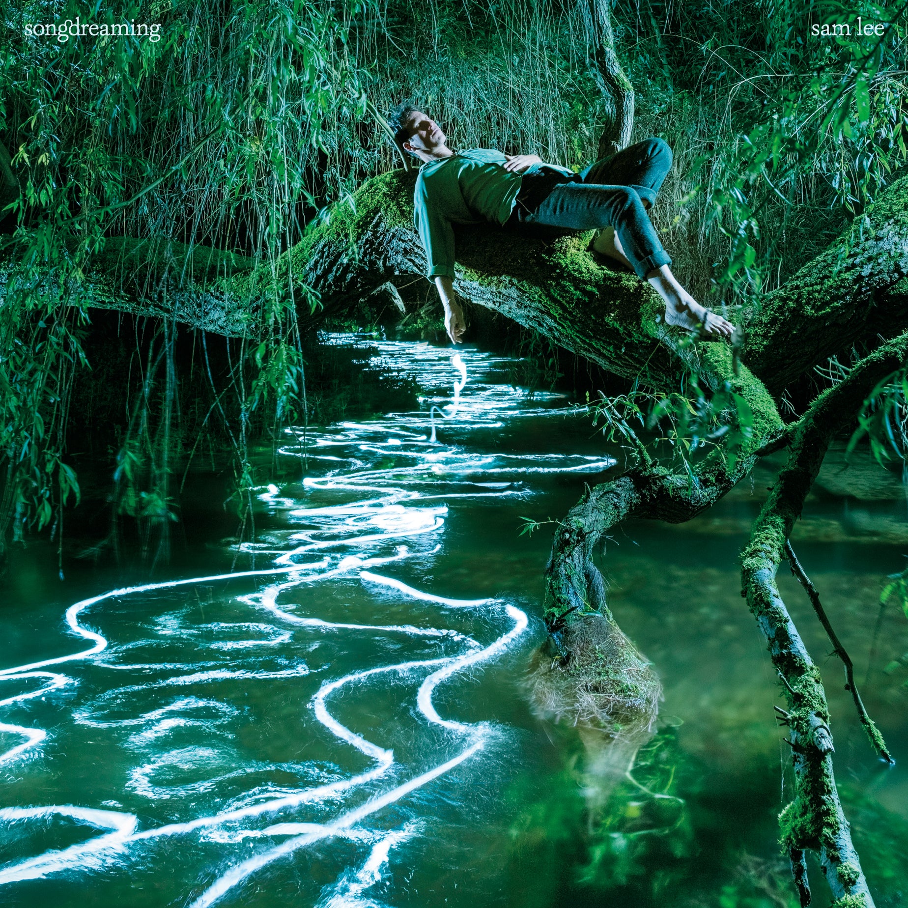 songdreaming - LP