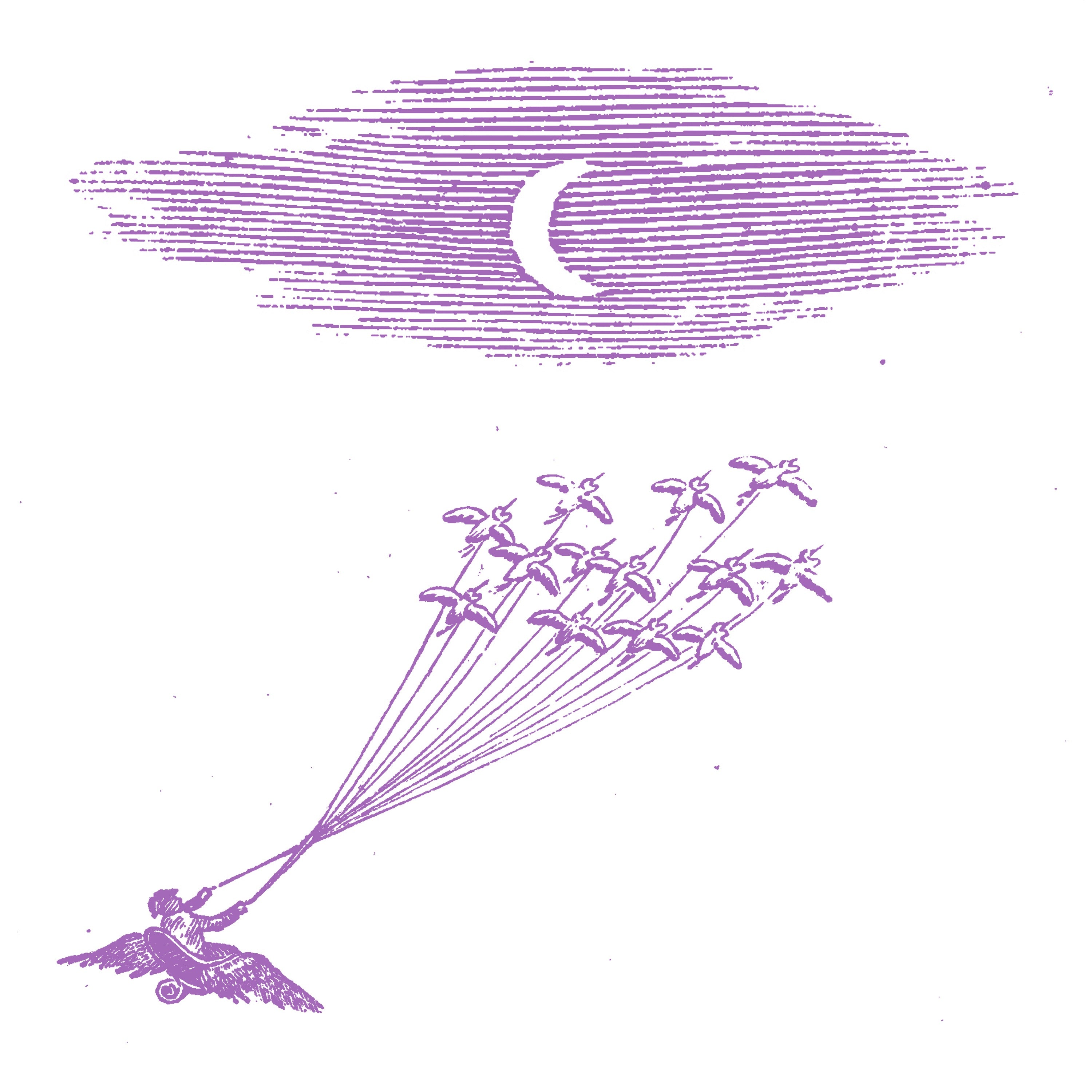 Migration Magic - LP