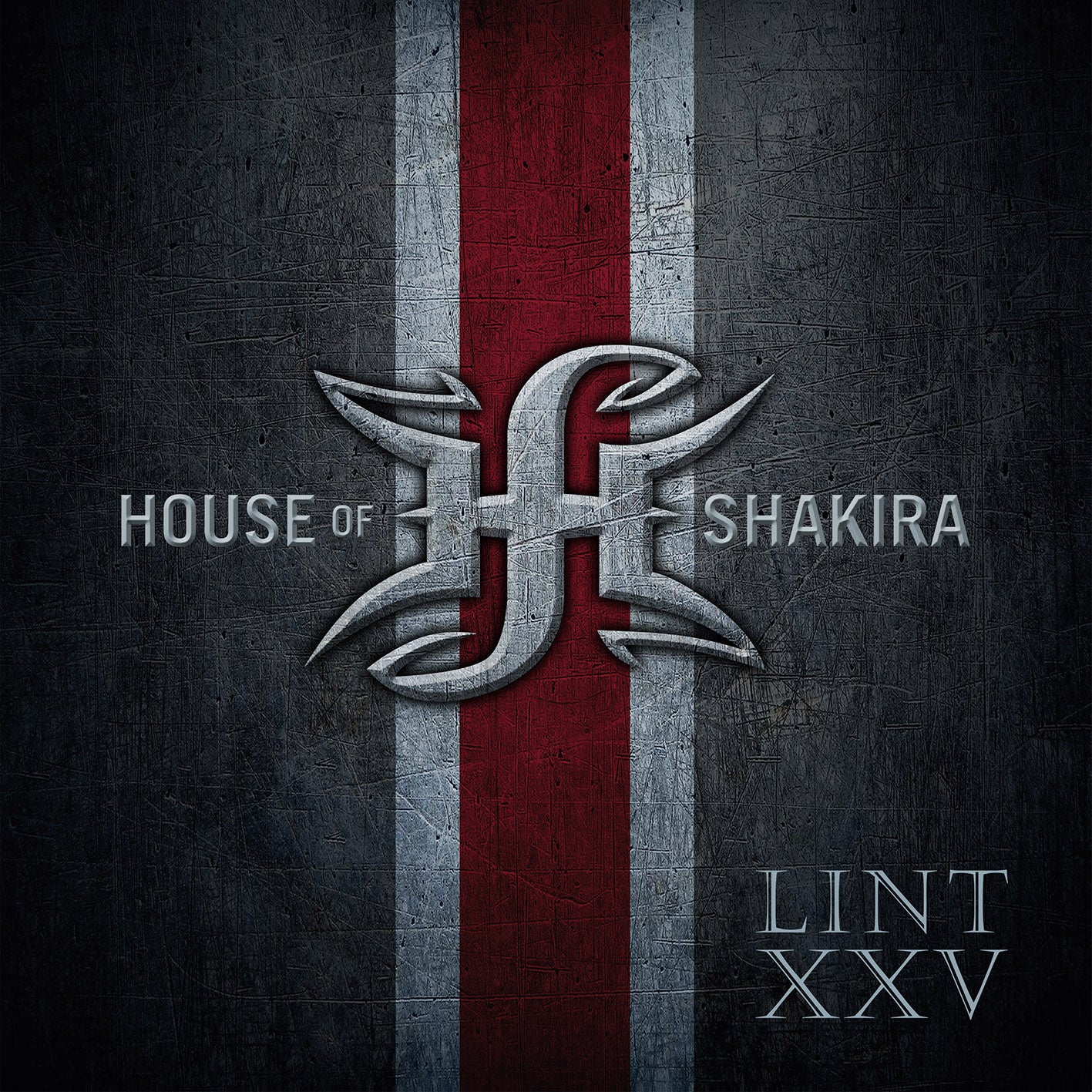 Lint XXV - 2xCD