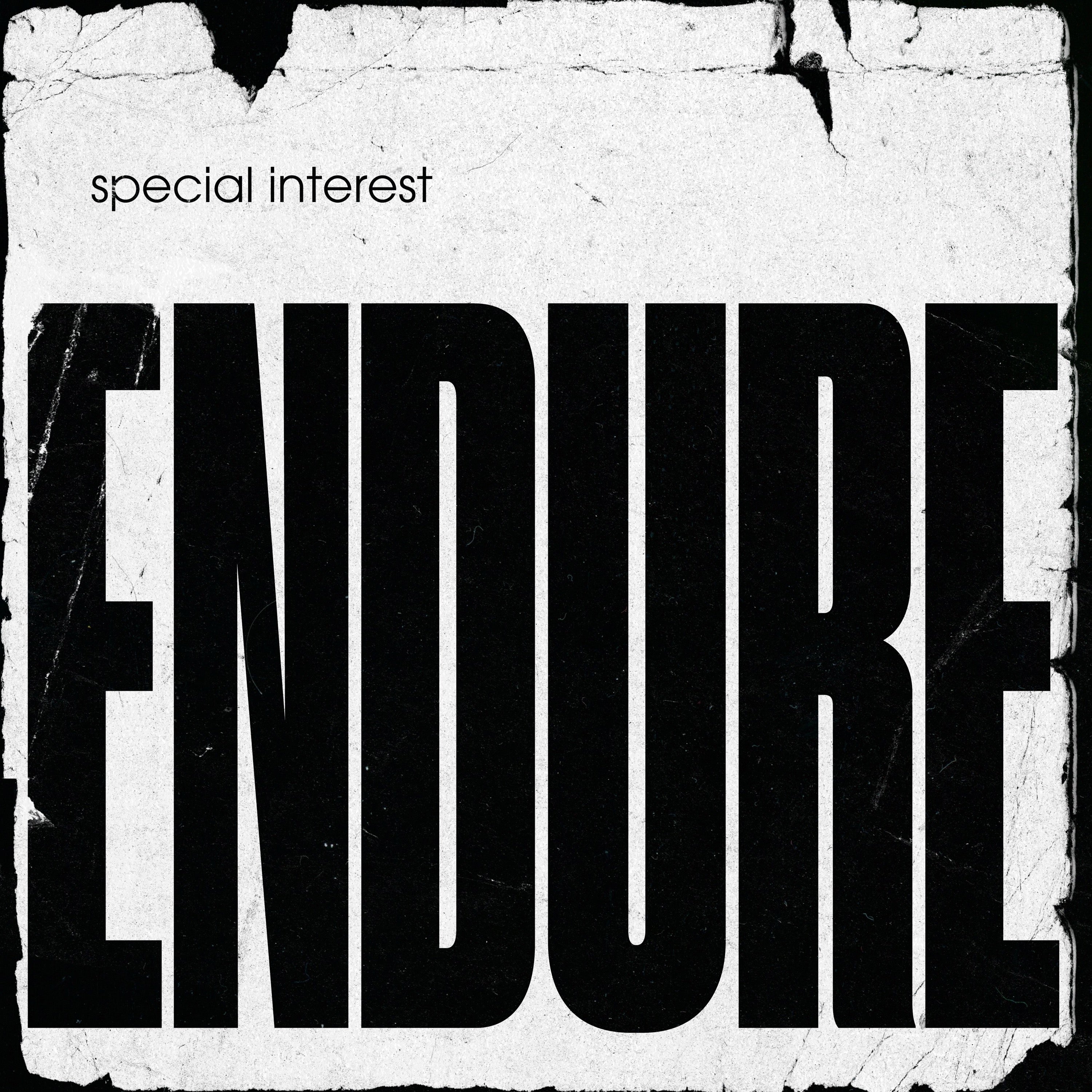 Endure - LP