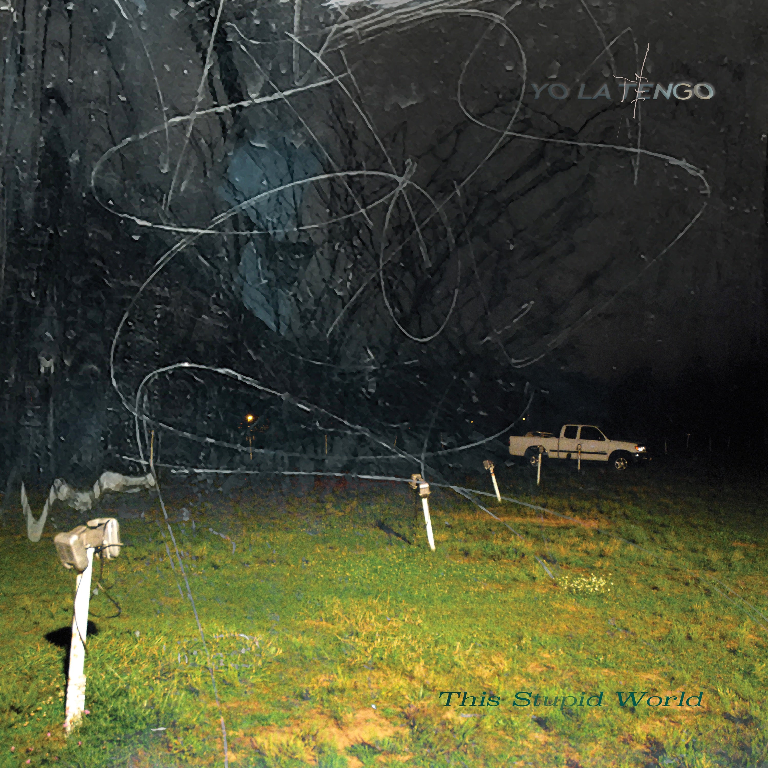 This Stupid World - 2xLP