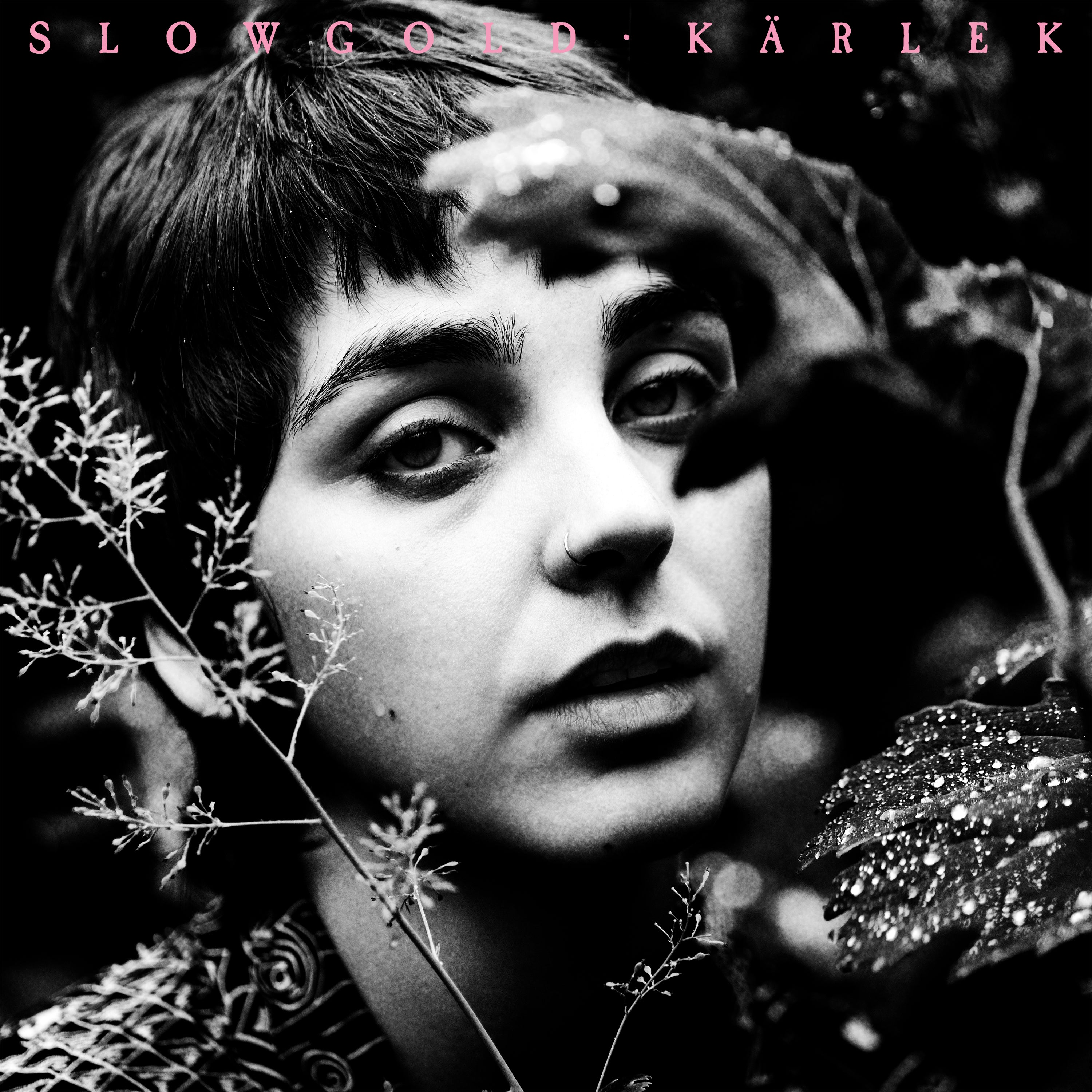 Kärlek - LP