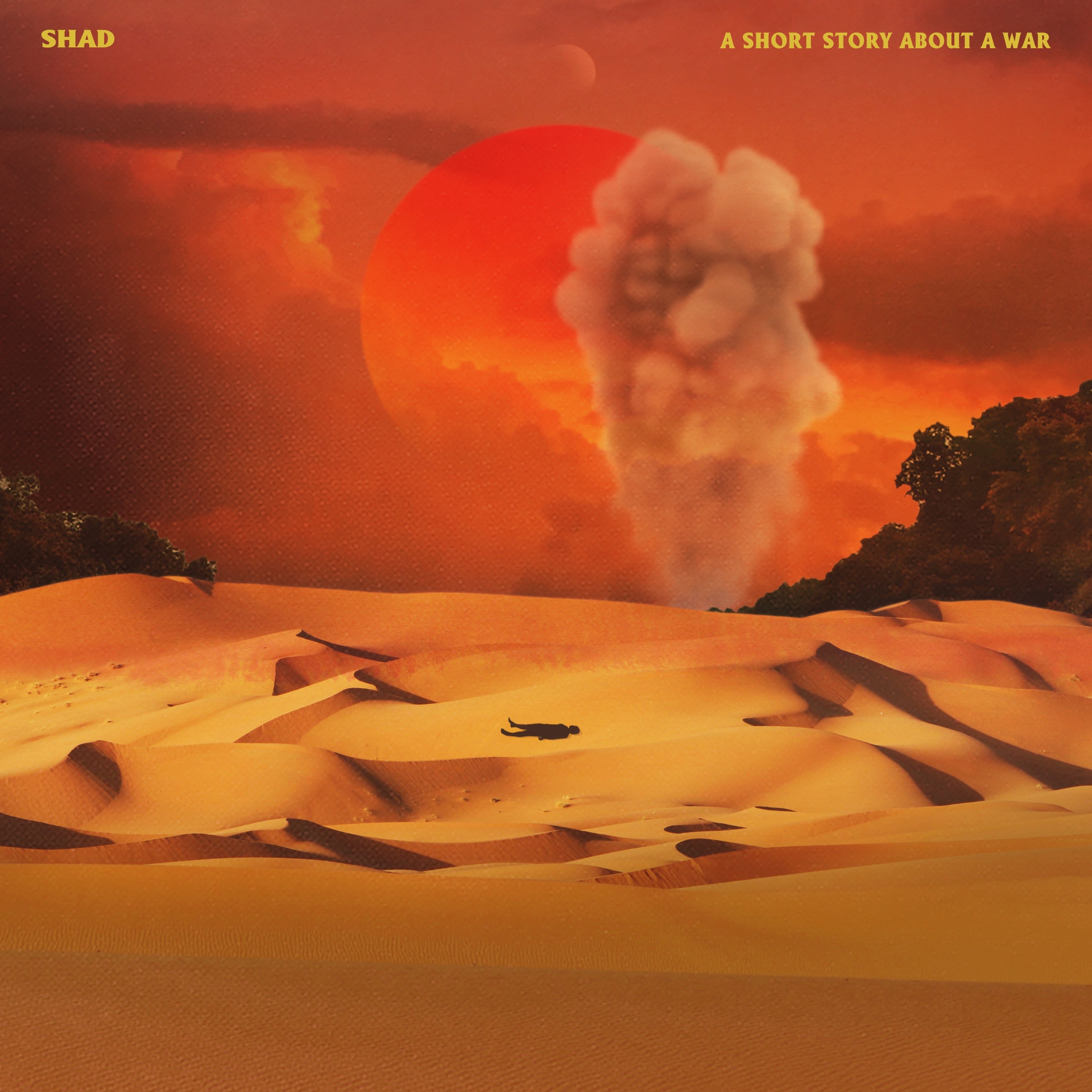 A Short Story About A War - LP