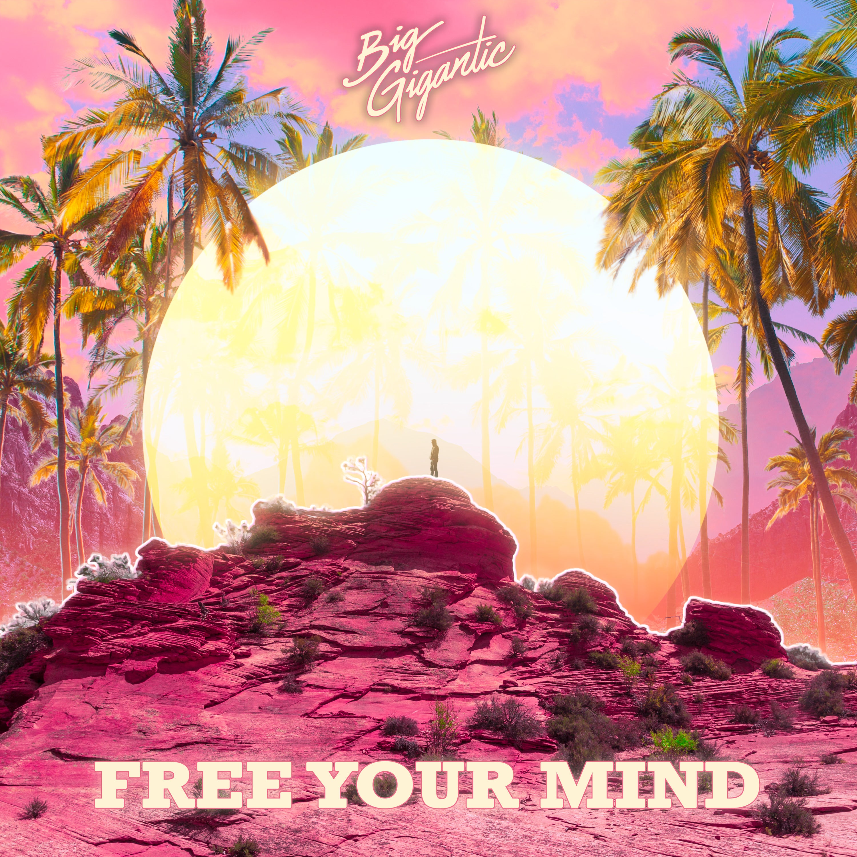 Free Your Mind - 2xLP
