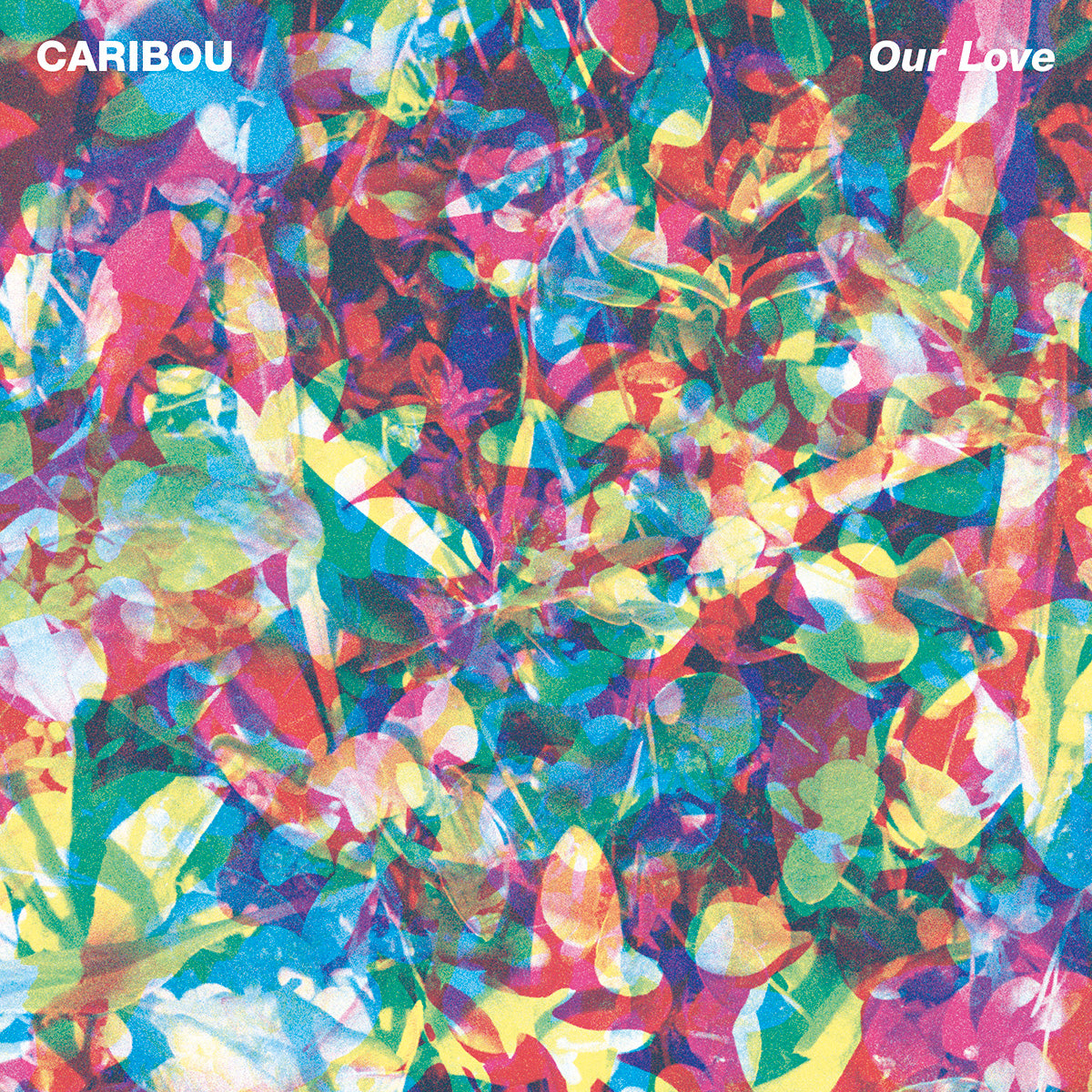 Our Love - LP