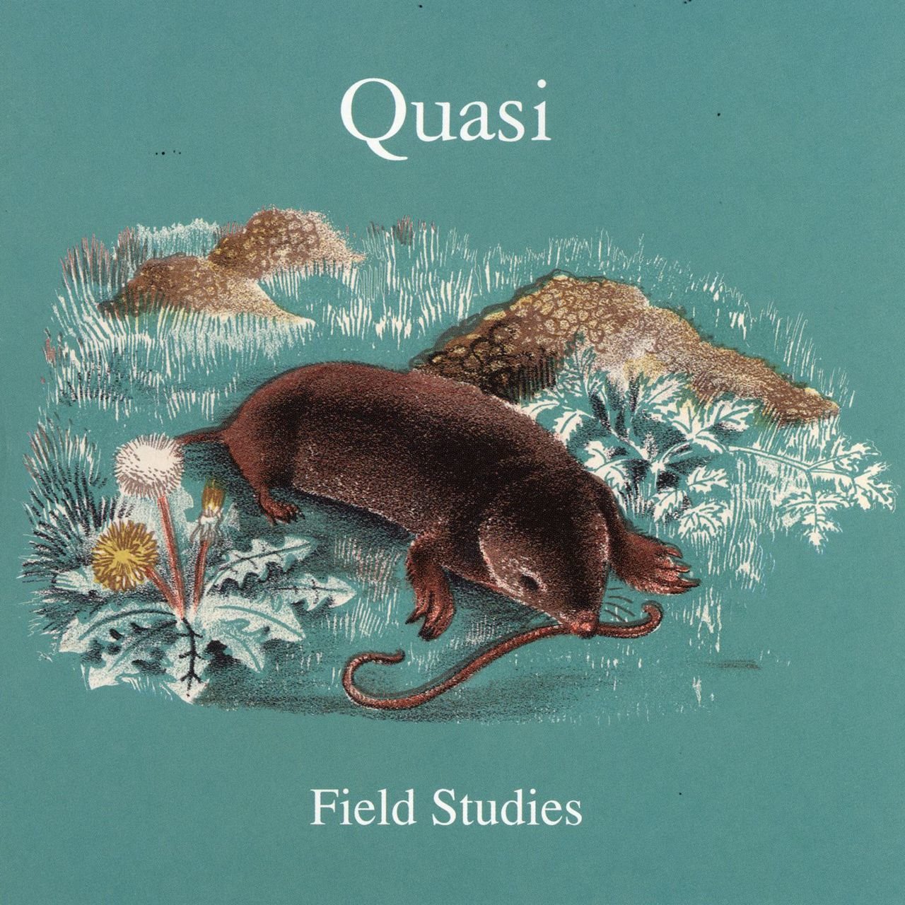 Field Studies - 2xLP