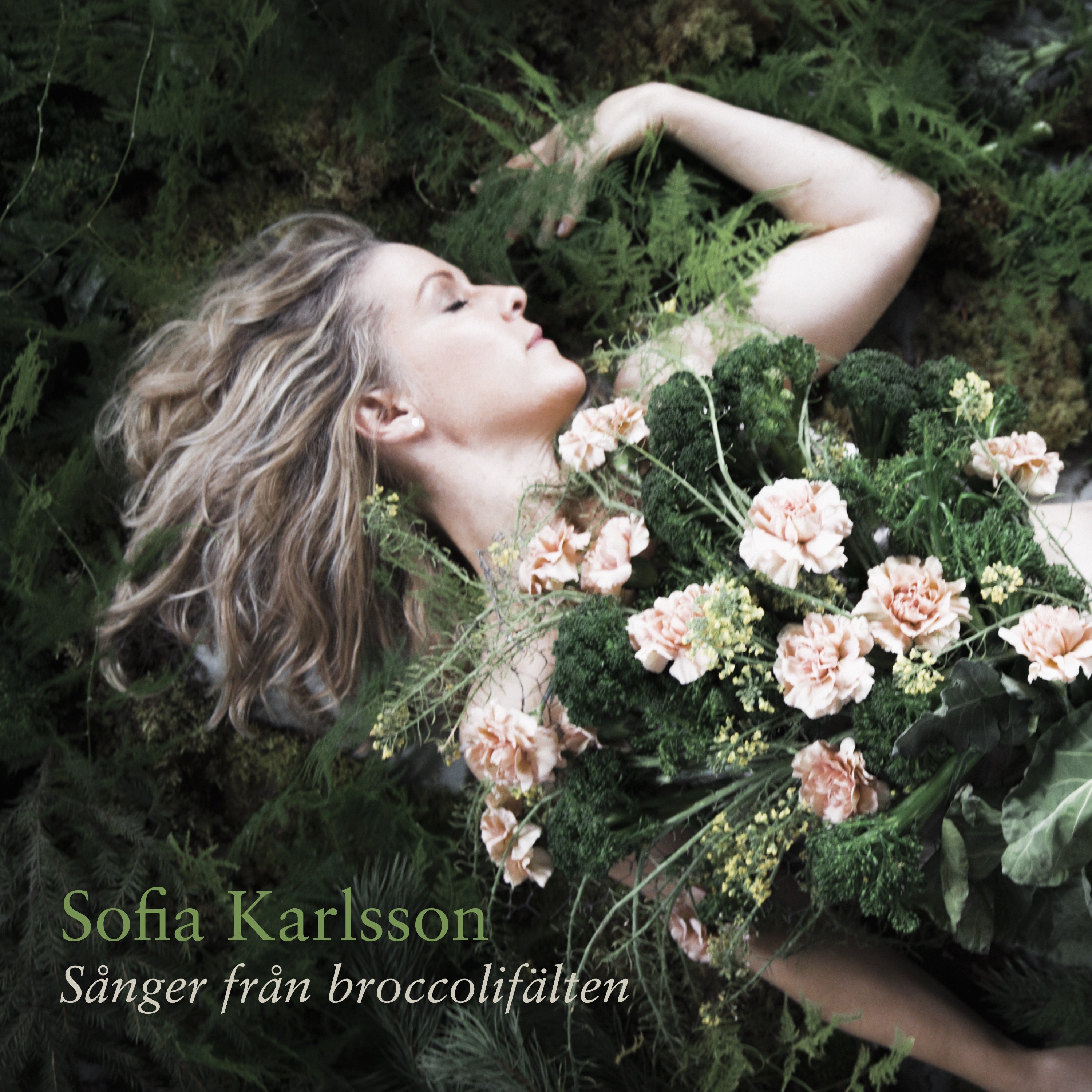 Sånger från broccolifälten - CD