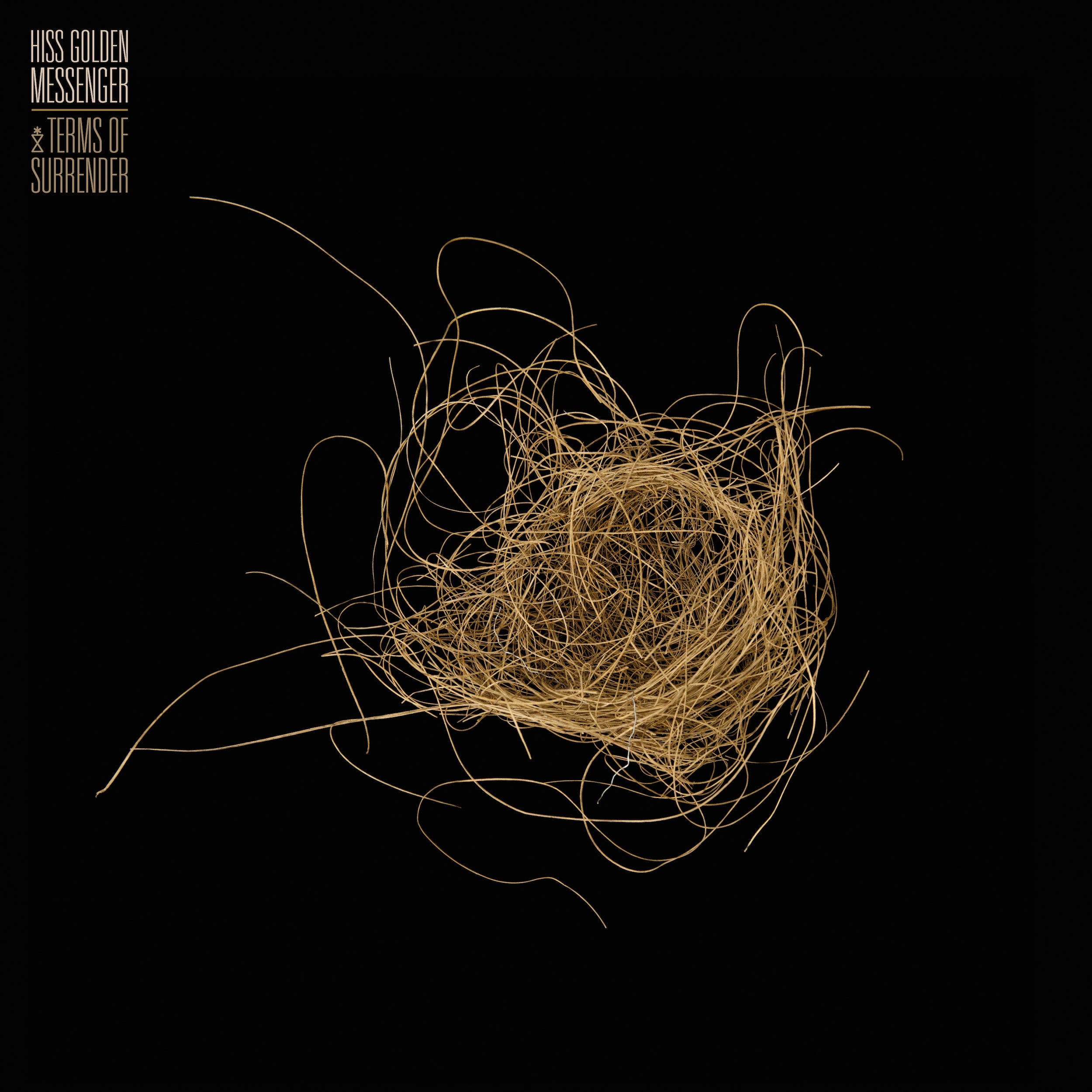 Terms Of Surrender - CD