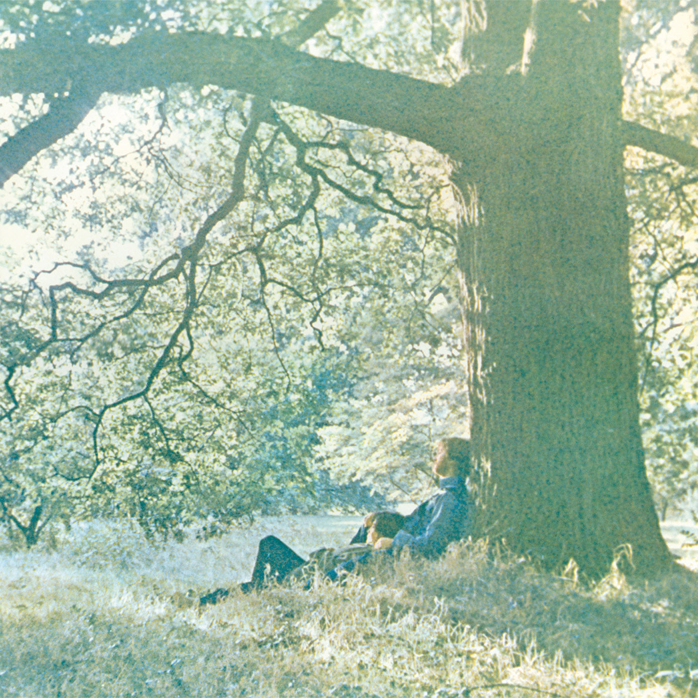 Plastic Ono Band - LP