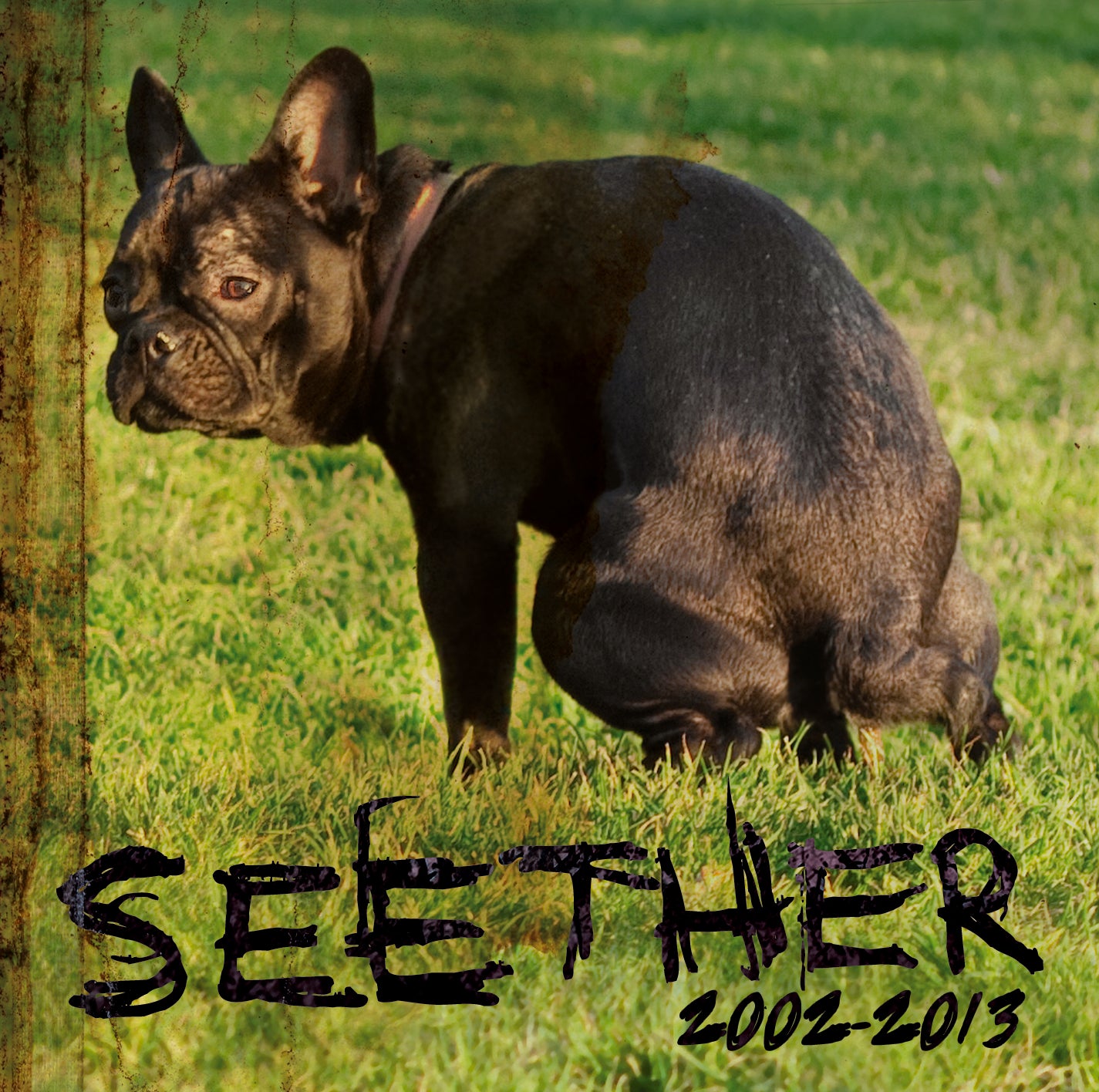 Seether: 2002 - 2013 - 2xCD