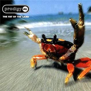 Fat Of The Land - 2xLP - vinyl