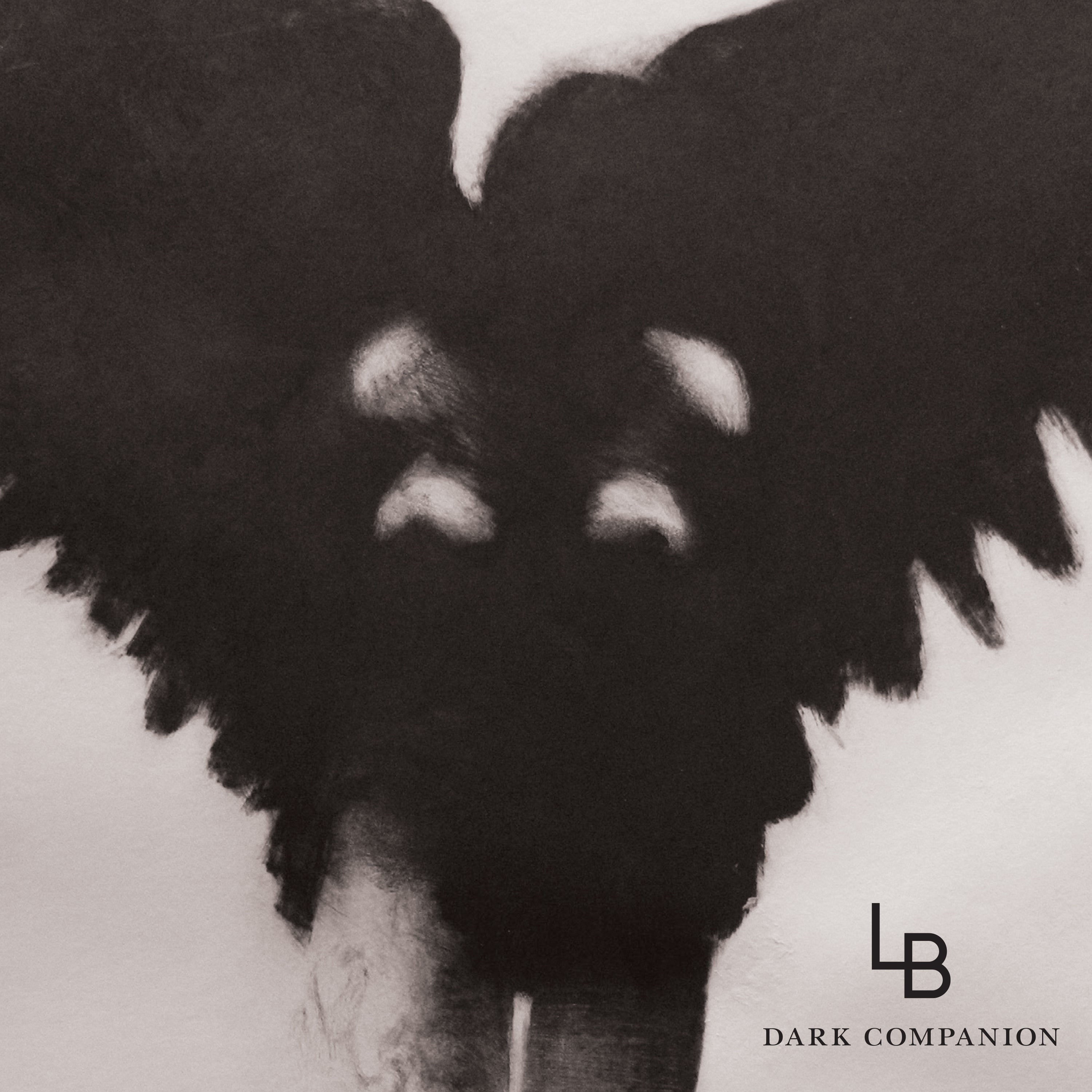 Dark Companion - LP