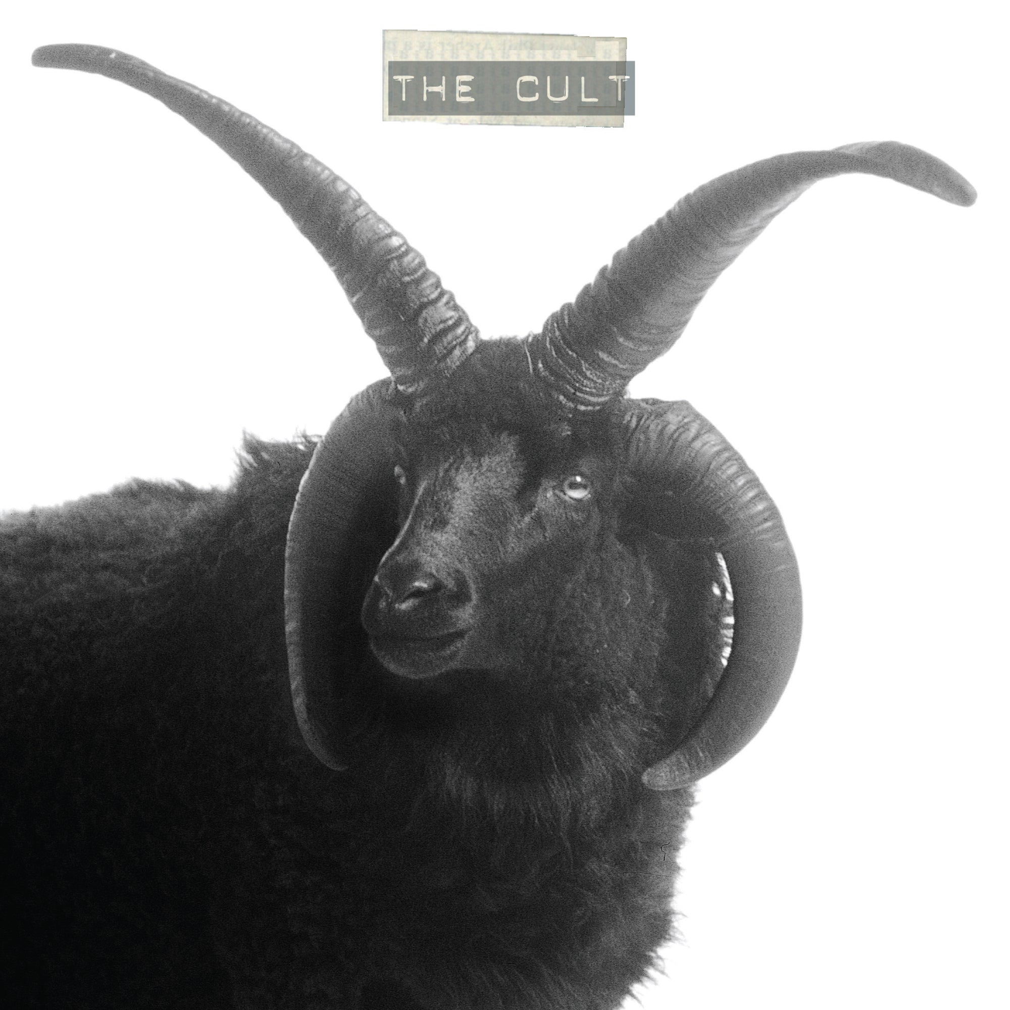 The Cult - 2xLP