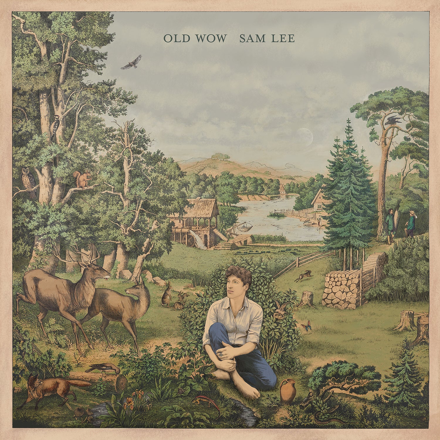 Old Wow - CD