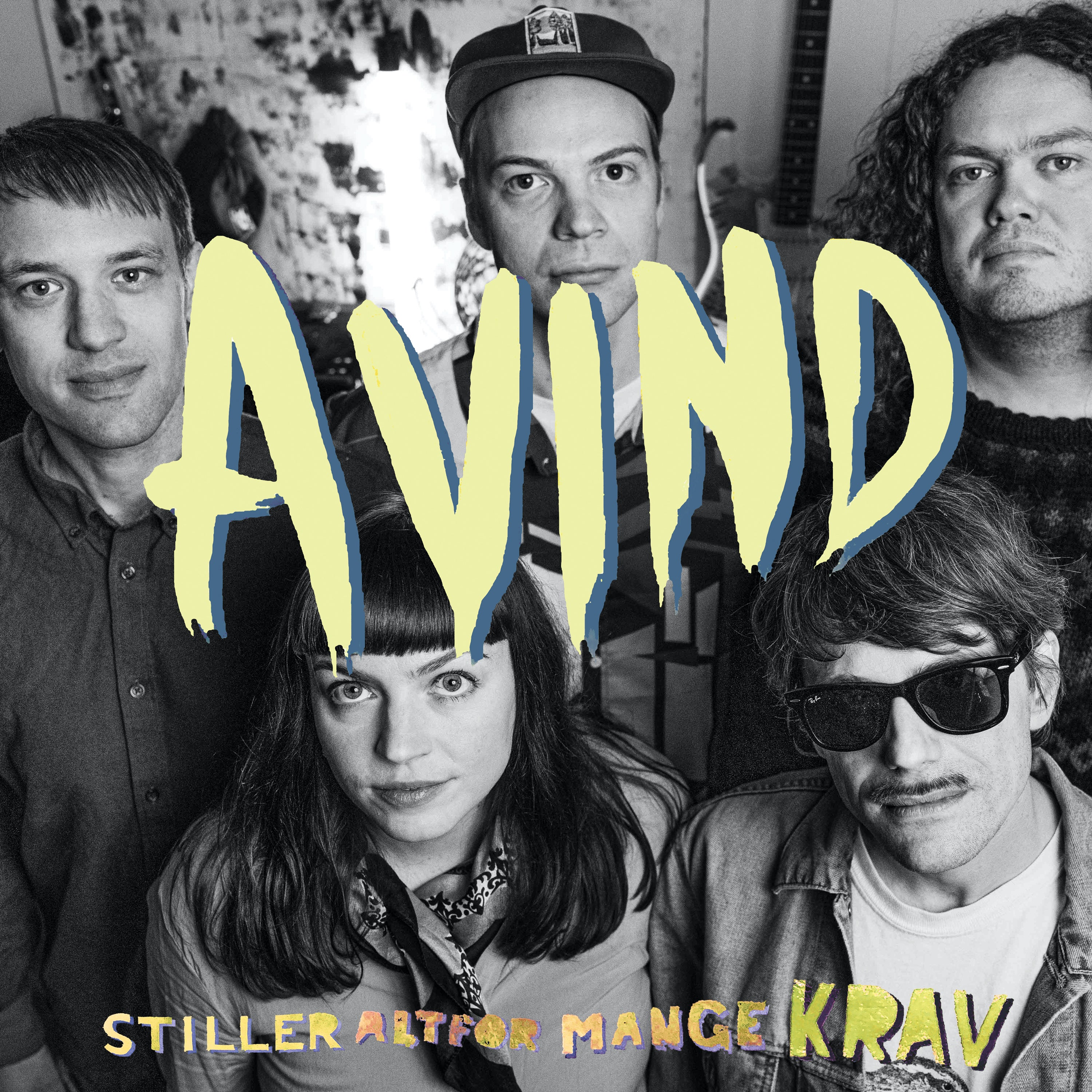 Stiller altfor mange krav - LP