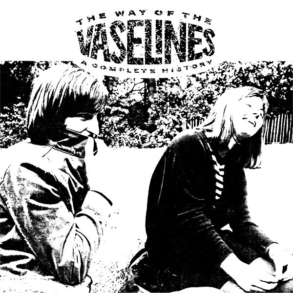 The Way of the Vaselines - A Complete History - 2xLP