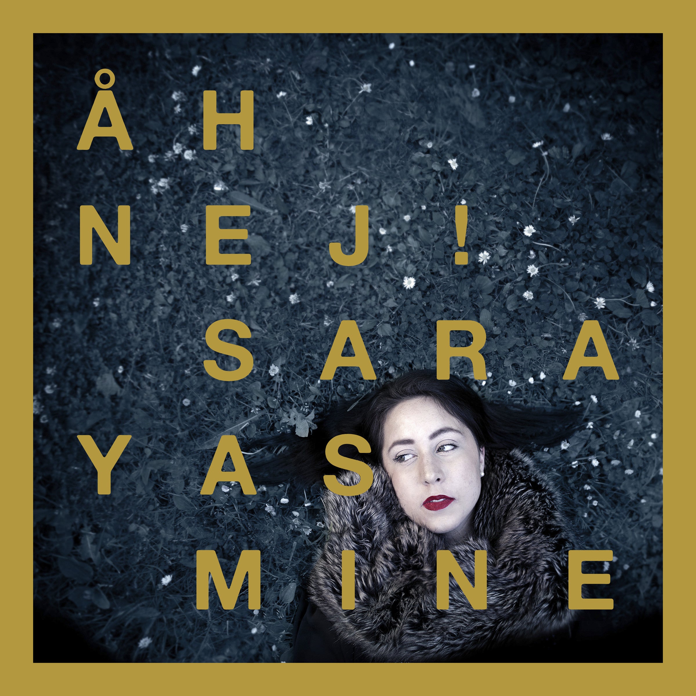Åh Nej! - LP